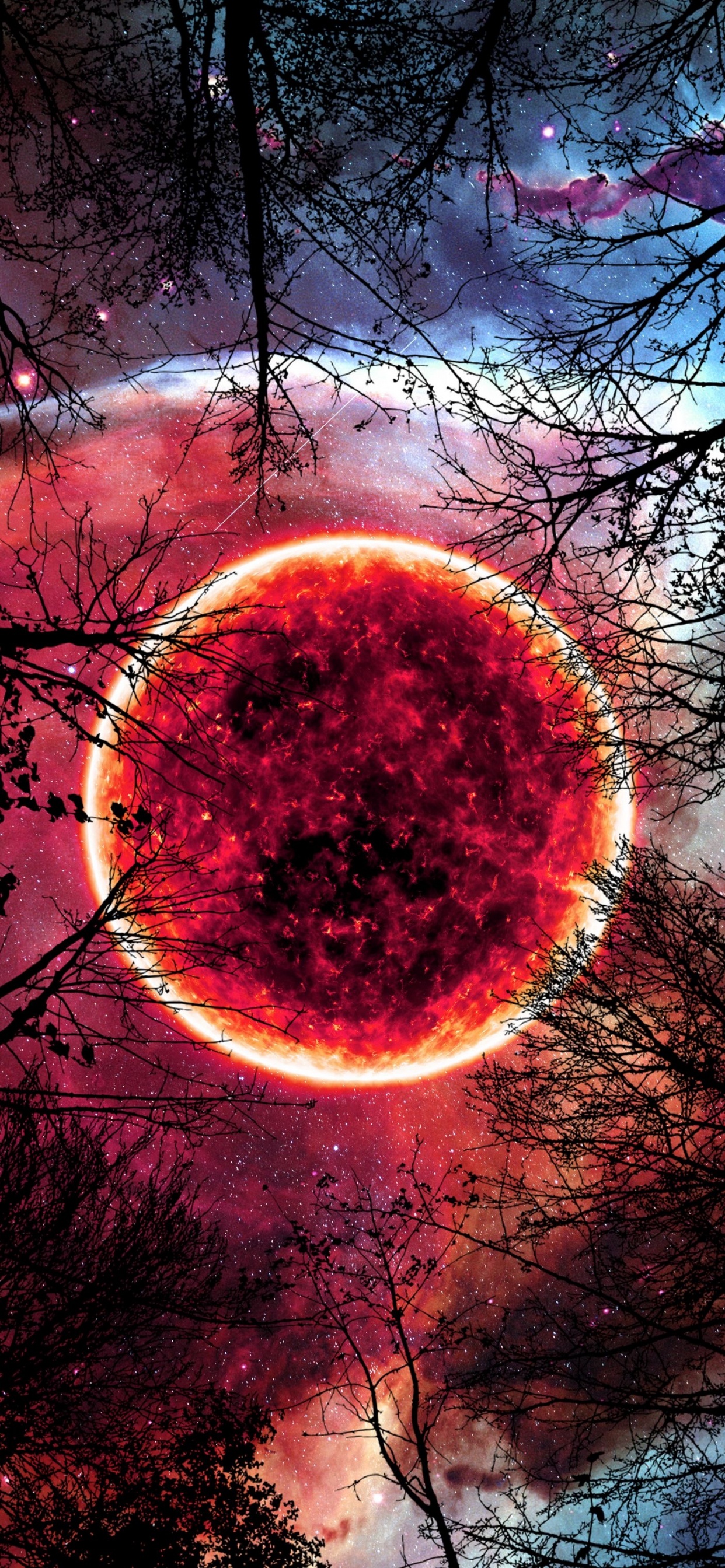 Natur, Atmosphäre, Naturlandschaft, Wasser, Branch. Wallpaper in 1242x2688 Resolution