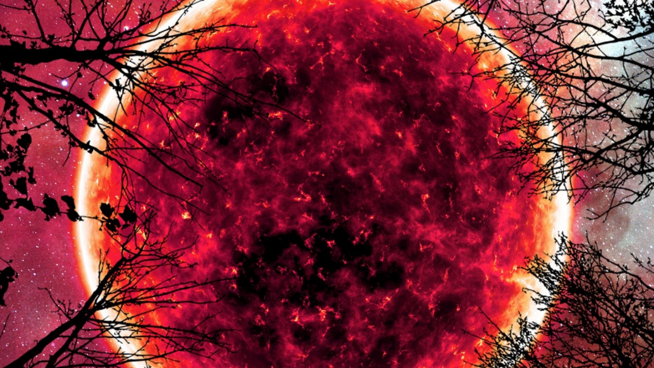 Natur, Atmosphäre, Naturlandschaft, Wasser, Branch. Wallpaper in 1280x720 Resolution