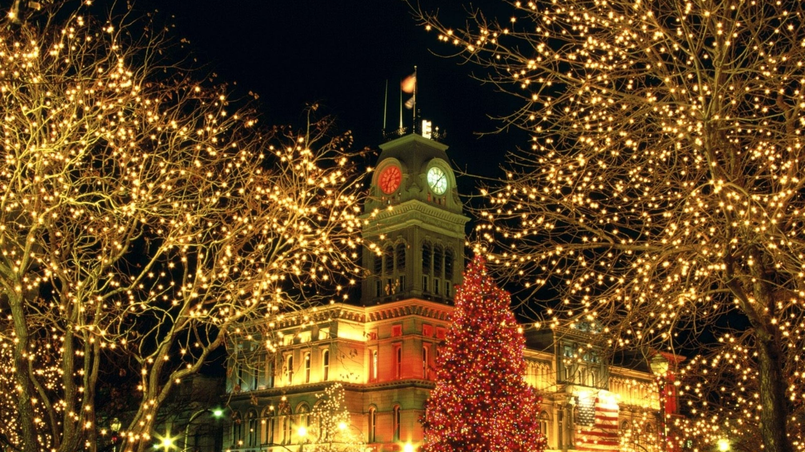 圣诞节那天, 圣诞彩灯, 圣诞树, 里程碑, 圣诞装饰 壁纸 2560x1440 允许