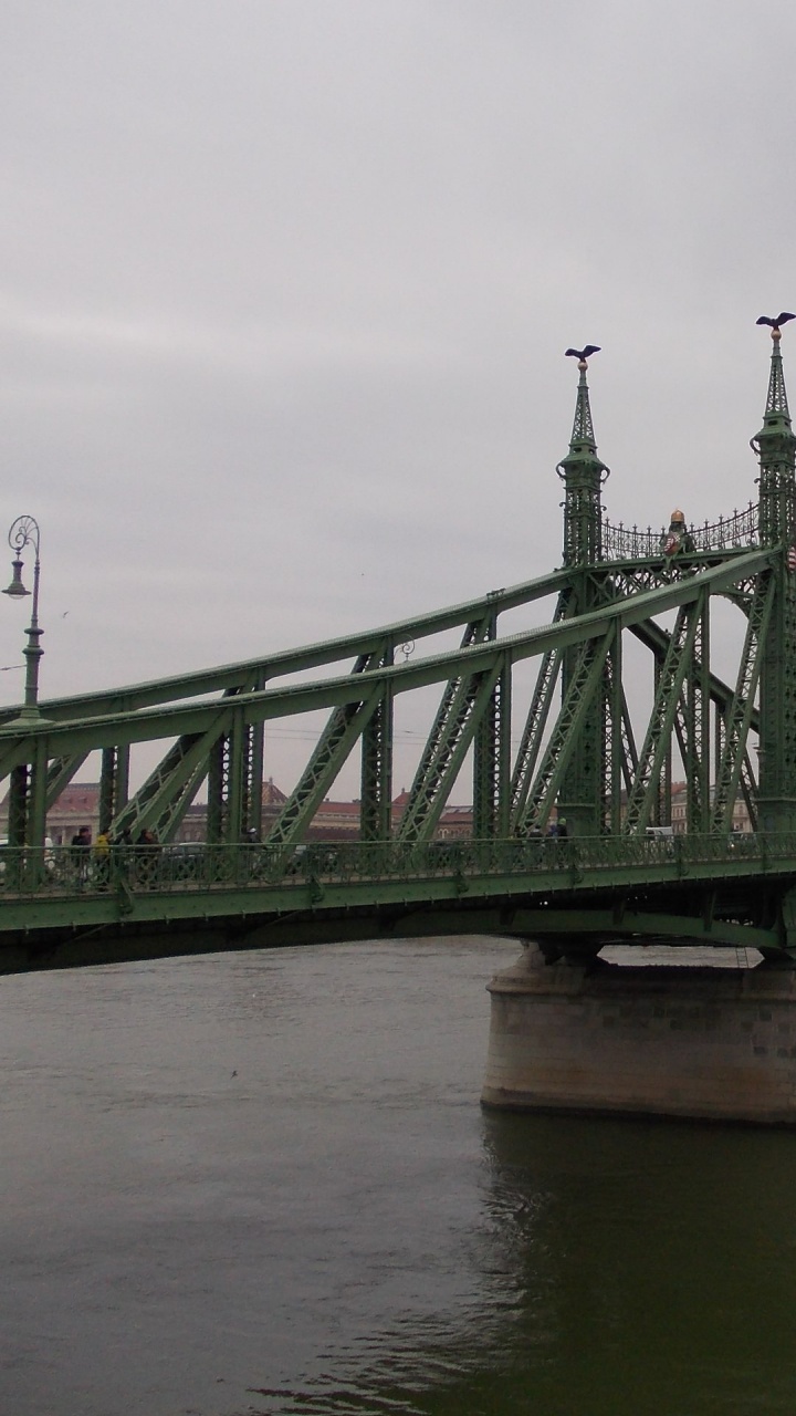 Puente Verde Sobre el Río. Wallpaper in 720x1280 Resolution