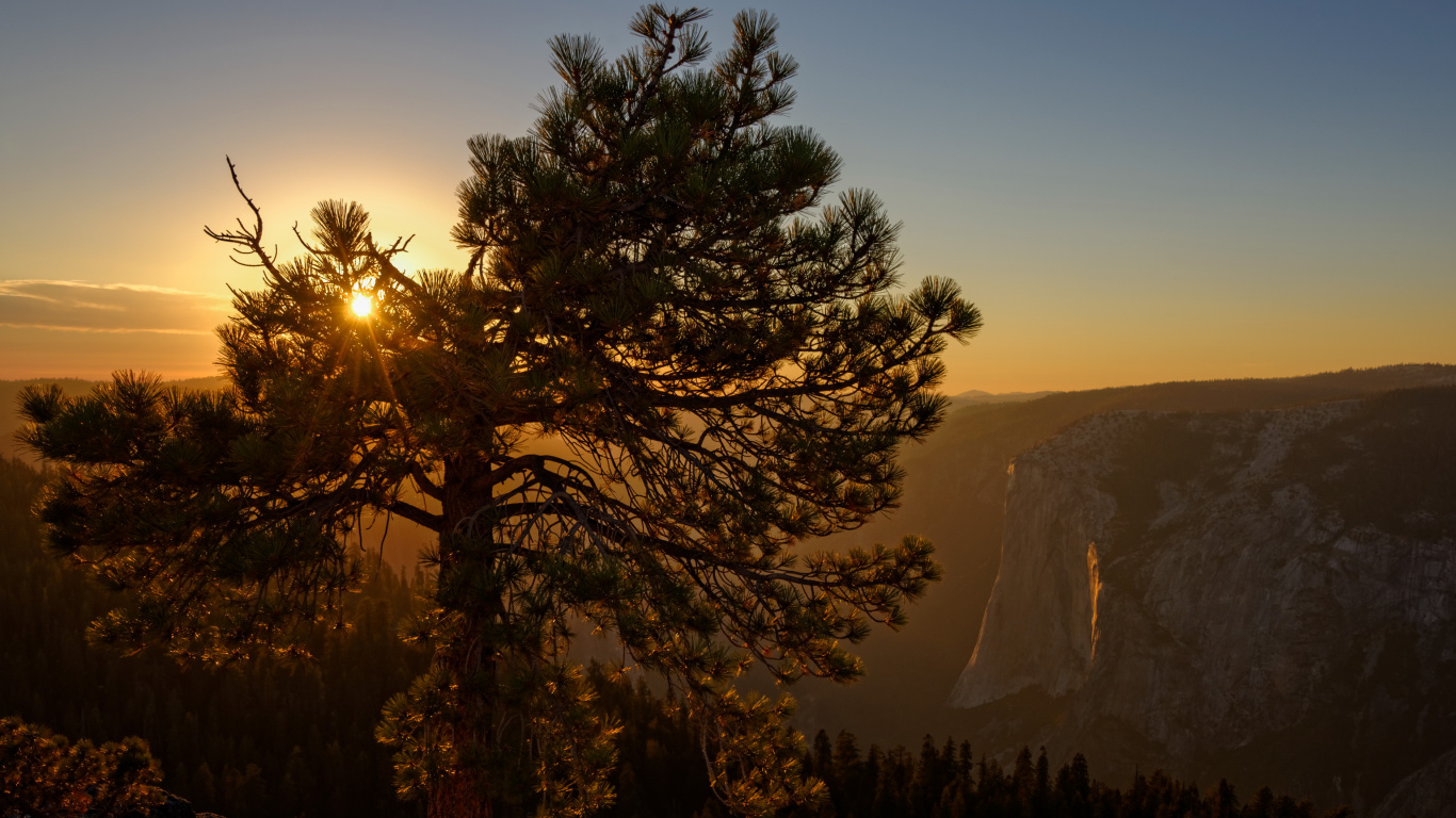 Arbre Vert Près de la Montagne au Coucher du Soleil. Wallpaper in 1366x768 Resolution