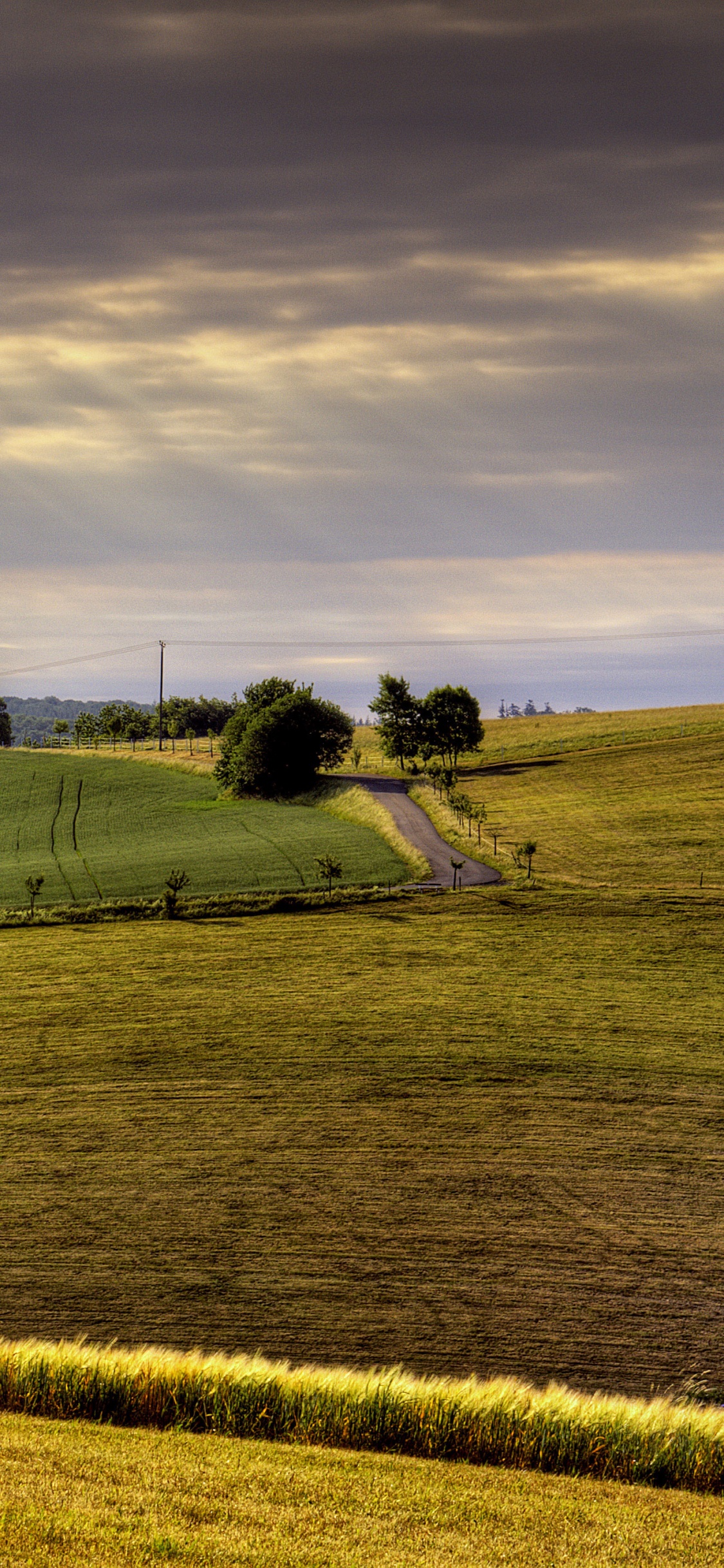 Campo de Hierba Verde Bajo el Cielo Nublado Durante el Día. Wallpaper in 1125x2436 Resolution