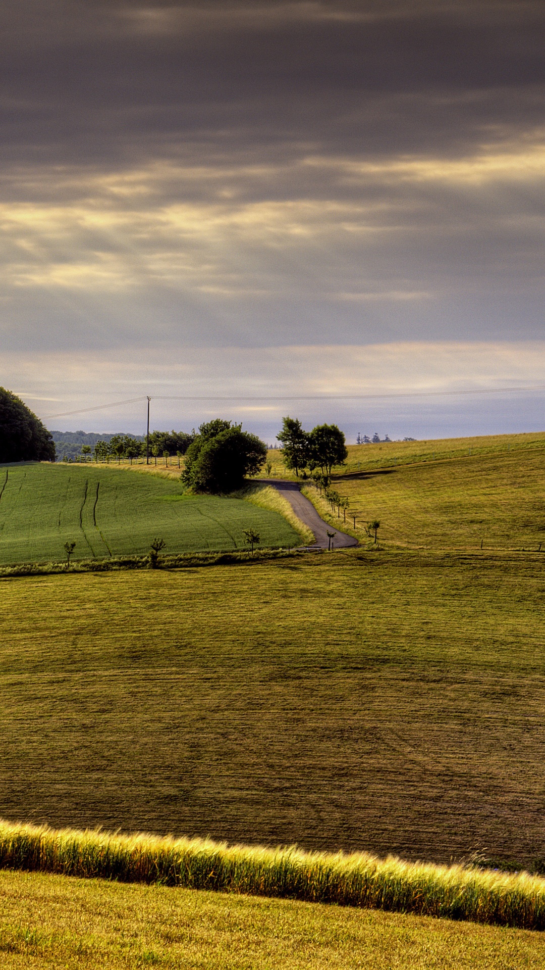 Green Grass Field Under Cloudy Sky During Daytime. Wallpaper in 1080x1920 Resolution