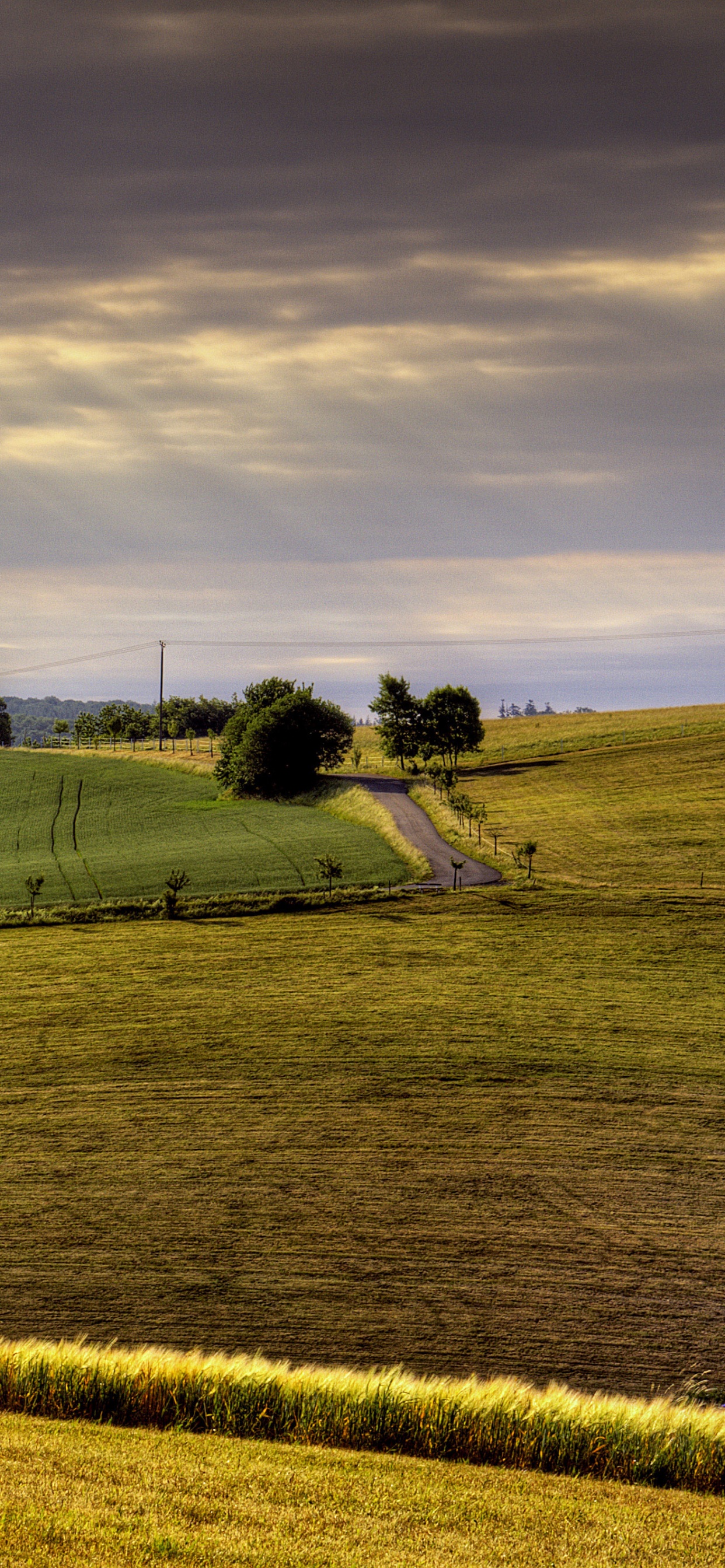 Green Grass Field Under Cloudy Sky During Daytime. Wallpaper in 1242x2688 Resolution