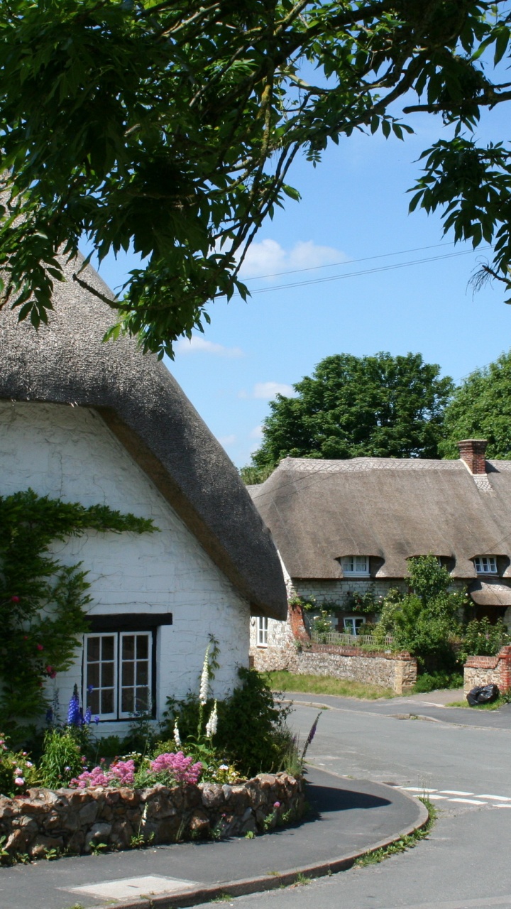 Braunes Und Weißes Haus in Der Nähe Von Grünem Baum Unter Blauem Himmel Tagsüber. Wallpaper in 720x1280 Resolution
