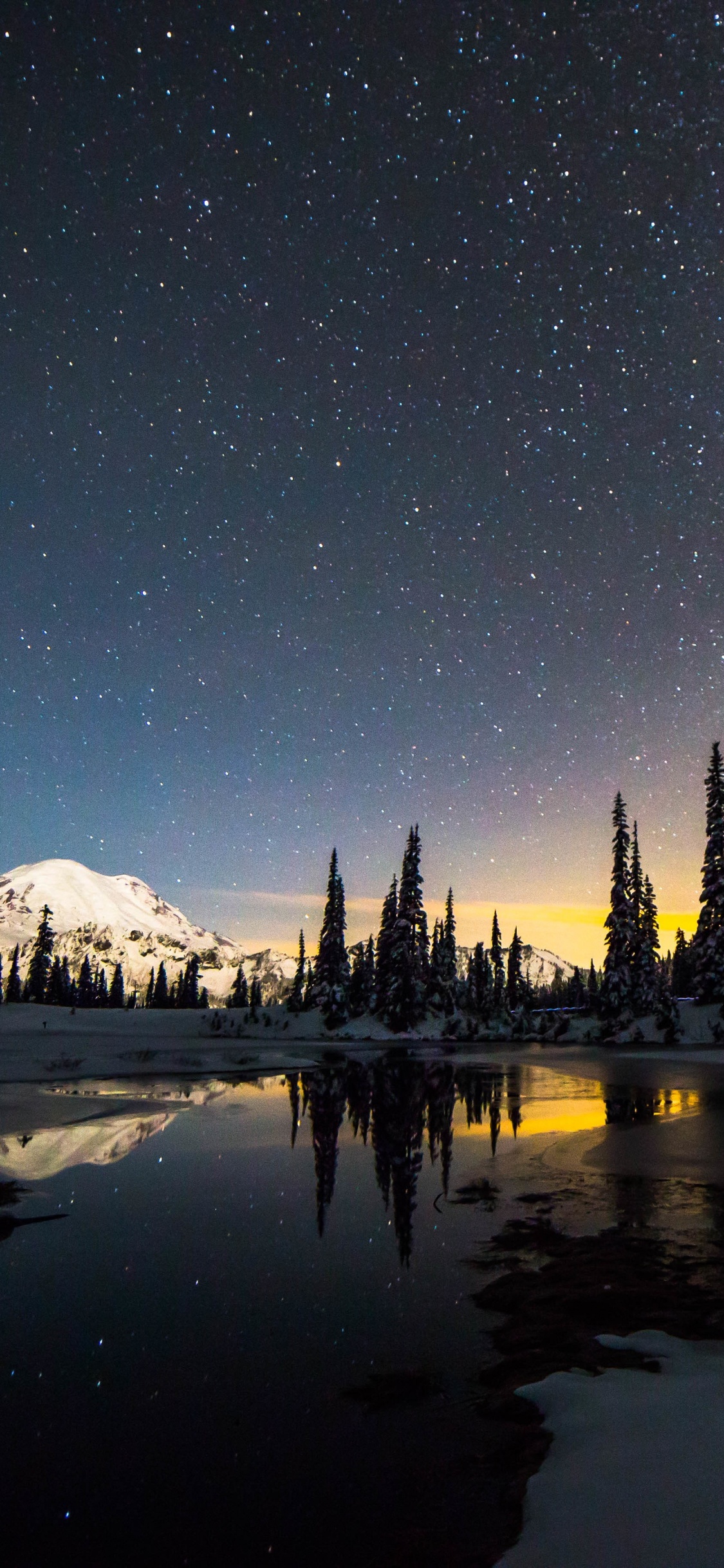 Zac Waters, Night, Atmosphere, Tree, Music. Wallpaper in 1125x2436 Resolution