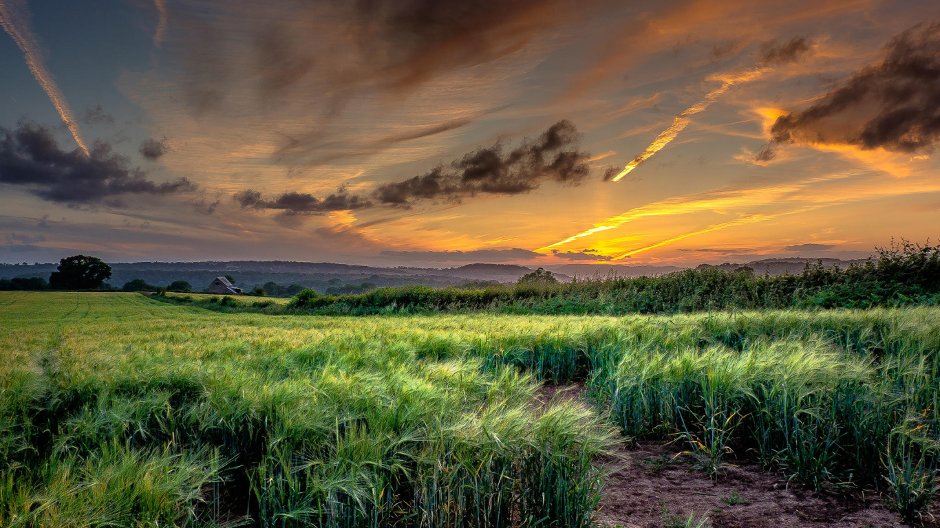 Campo de Hierba Verde Bajo el Cielo Nublado Durante la Puesta de Sol. Wallpaper in 1366x768 Resolution