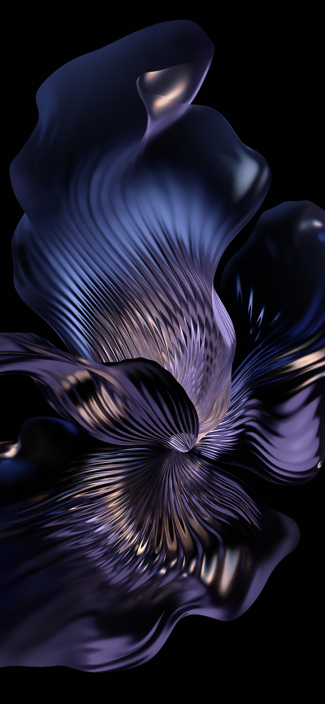 Moth Orchid, Smartphone, Blütenblatt, Terrestrische Pflanzen, Gas. Wallpaper in 1125x2436 Resolution