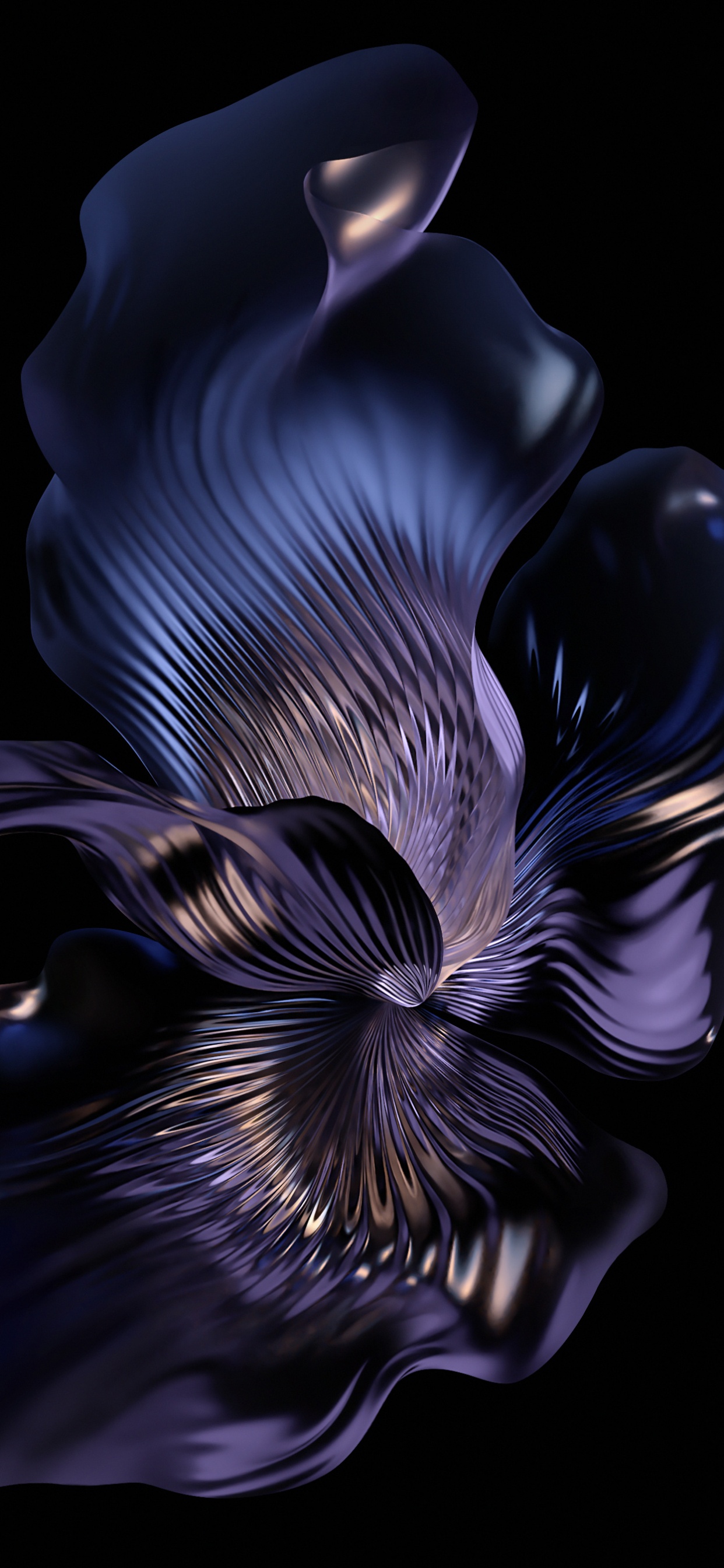 Moth Orchid, Smartphone, Blütenblatt, Terrestrische Pflanzen, Gas. Wallpaper in 1242x2688 Resolution