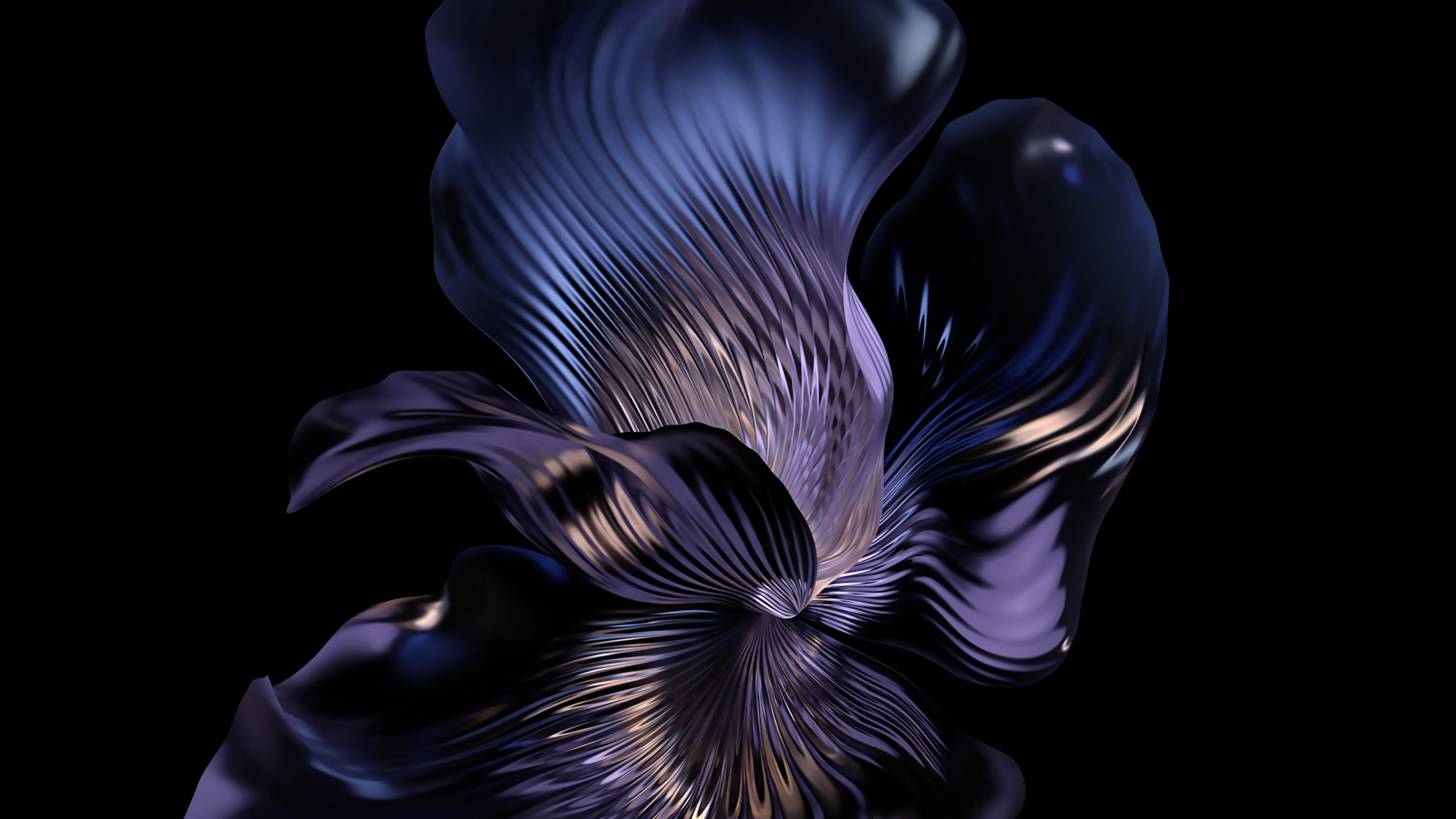 Moth Orchid, Smartphone, Pétale, Plante Terrestre, Gaz. Wallpaper in 2560x1440 Resolution