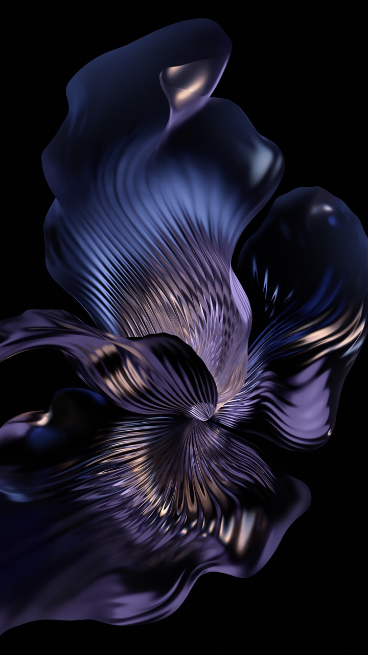 Moth Orchid, Smartphone, Pétale, Plante Terrestre, Gaz. Wallpaper in 720x1280 Resolution