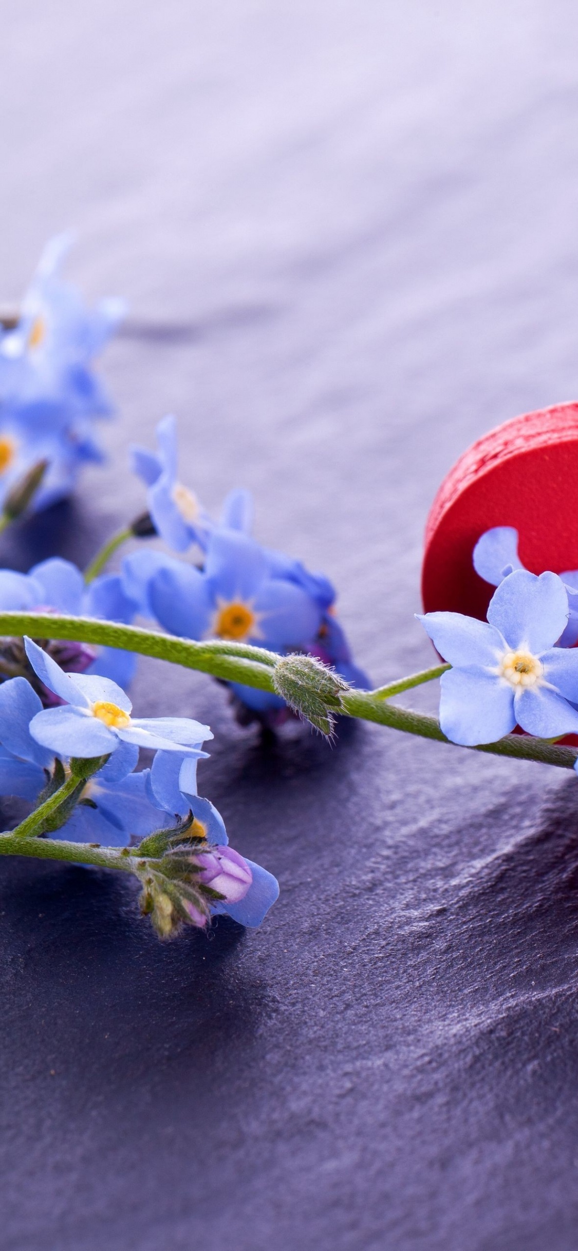 Cœur, Amour, Pétale, Whatsapp. Wallpaper in 1125x2436 Resolution