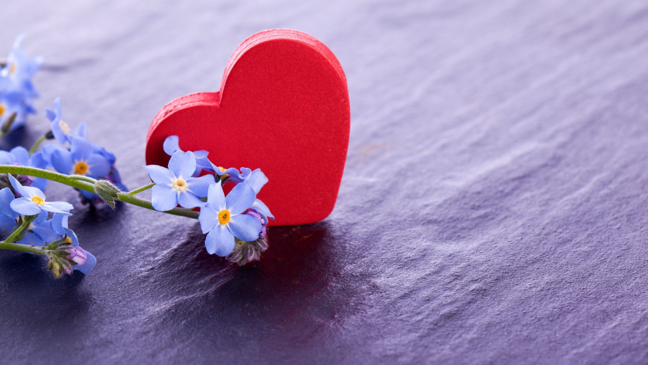 Cœur, Amour, Pétale, Whatsapp. Wallpaper in 1280x720 Resolution