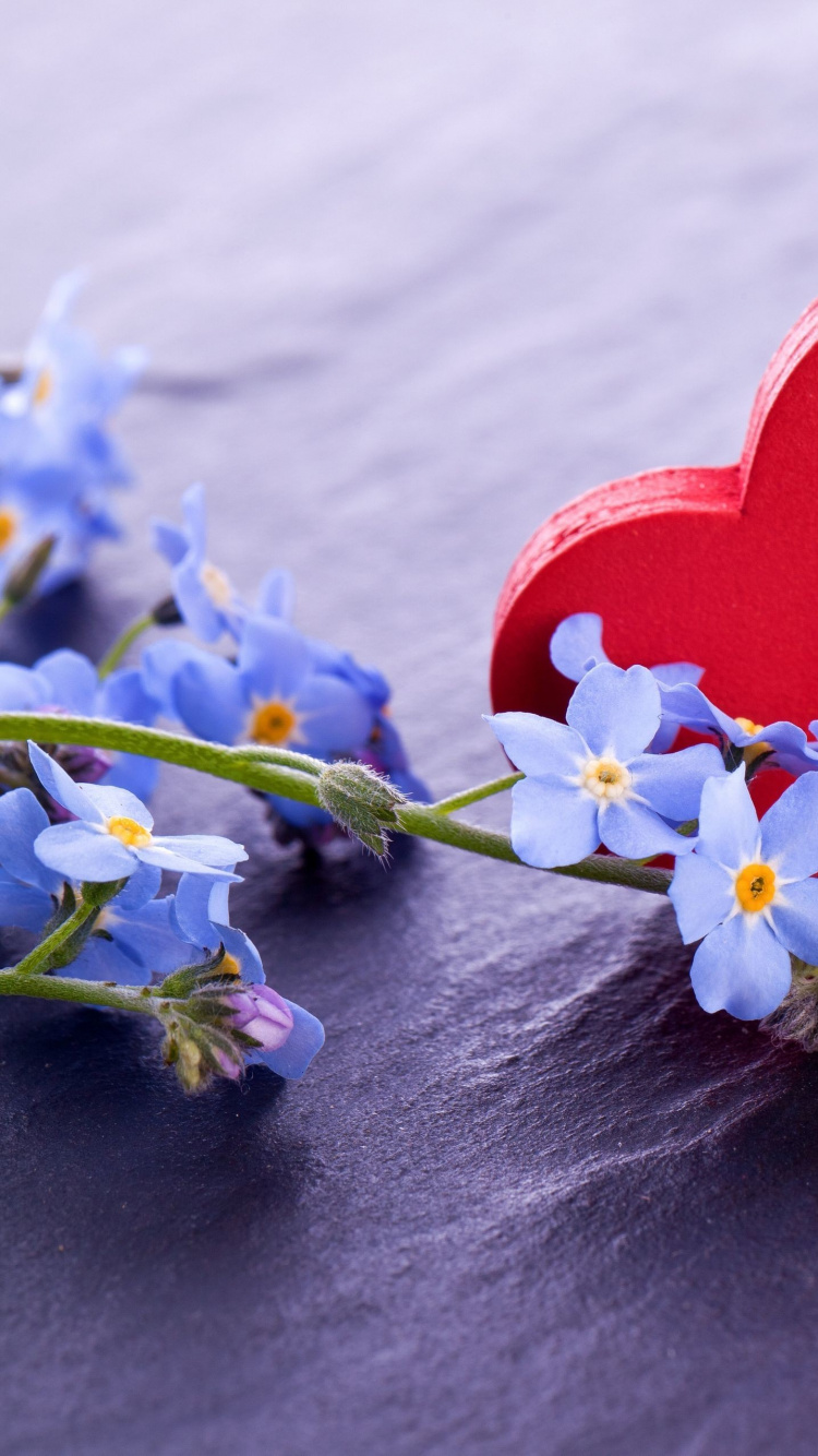 Cœur, Amour, Pétale, Whatsapp. Wallpaper in 750x1334 Resolution