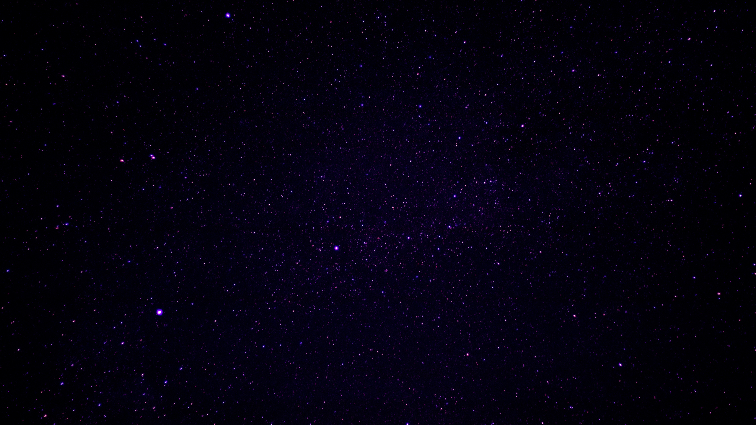 Schwarze Und Weiße Sterne Während Der Nacht. Wallpaper in 2560x1440 Resolution