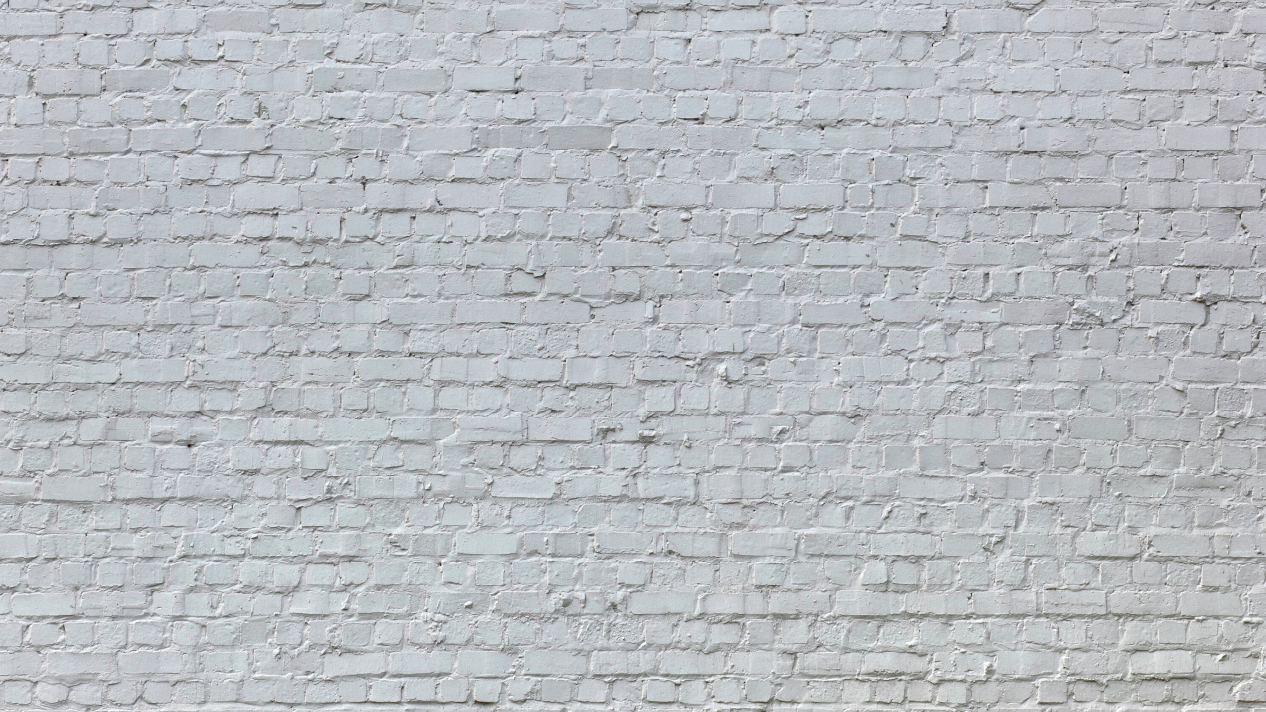Pared de Ladrillo Blanco y Gris. Wallpaper in 2560x1440 Resolution