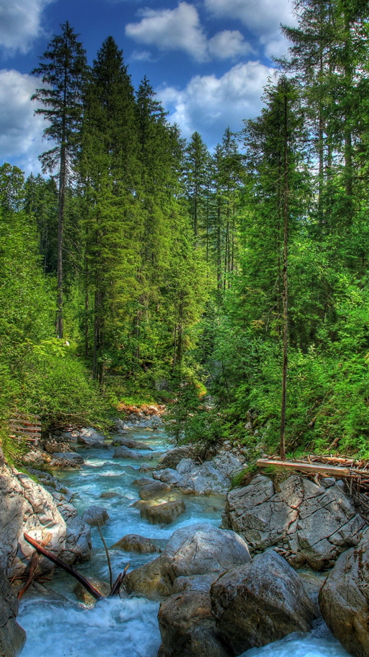Green Trees Beside River Under Blue Sky During Daytime. Wallpaper in 720x1280 Resolution