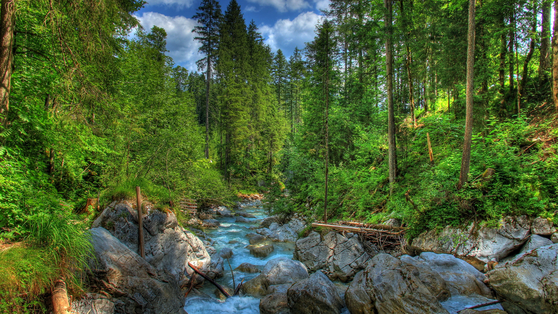 Grüne Bäume Neben Dem Fluss Unter Blauem Himmel Tagsüber. Wallpaper in 1920x1080 Resolution