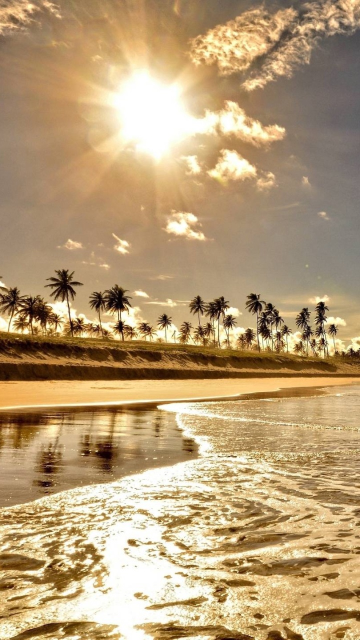 People on Beach During Daytime. Wallpaper in 720x1280 Resolution