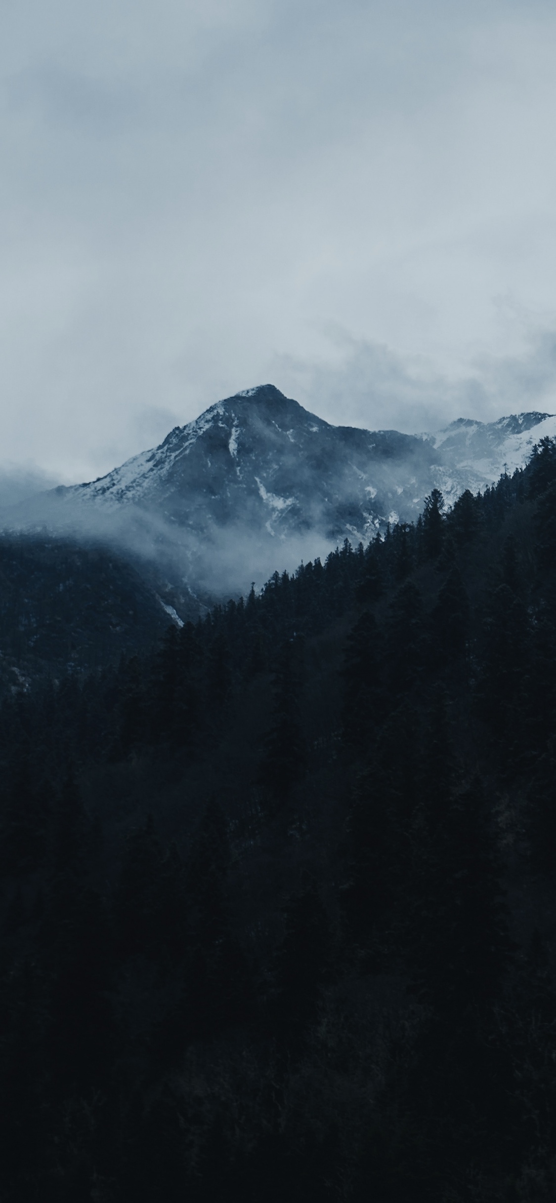 Les Reliefs Montagneux, Highland, Gamme de Montagne, Crête, Bitcoin. Wallpaper in 1125x2436 Resolution