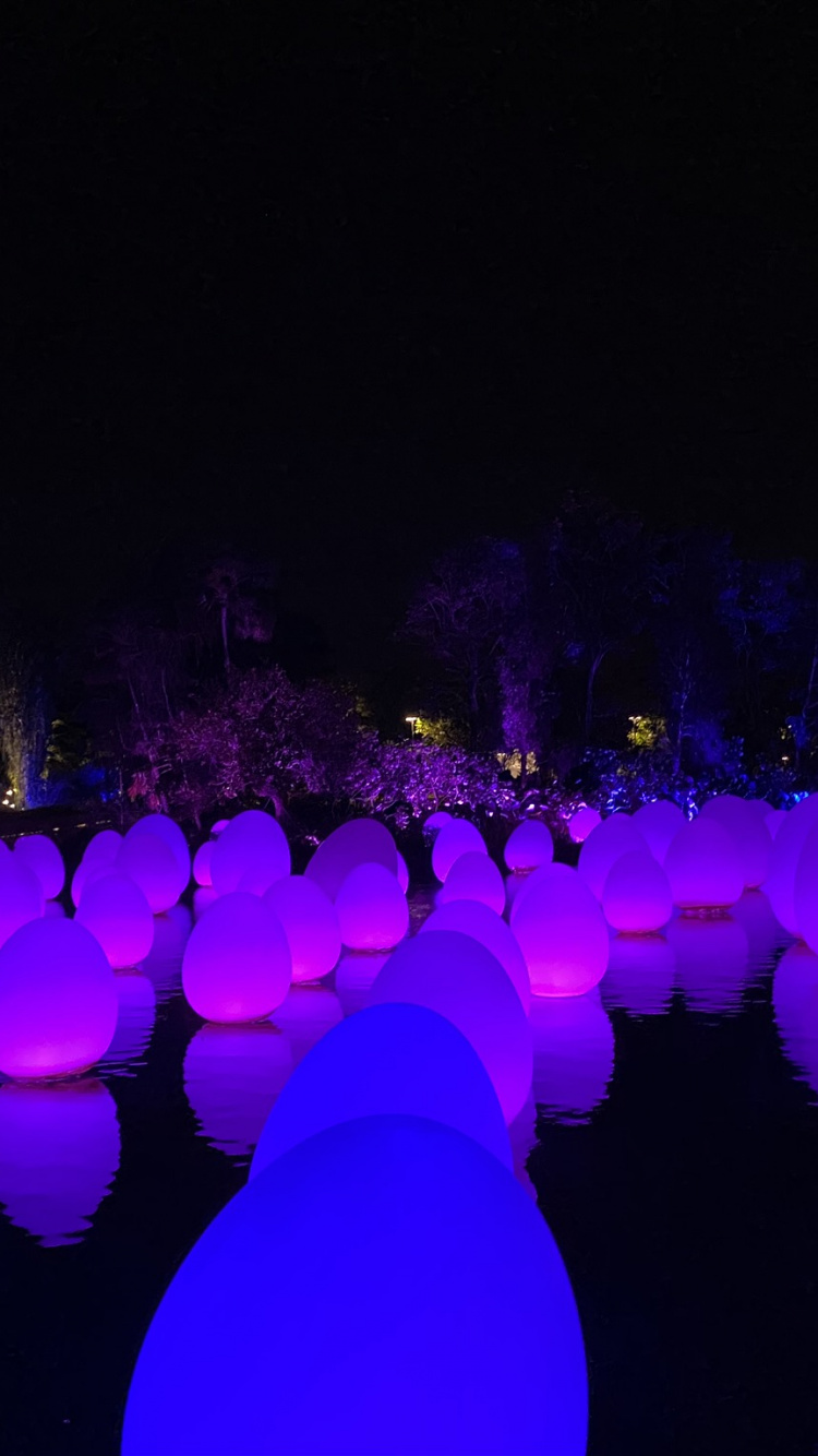 Singapour, Lumière, Physique, Nuit, Purple. Wallpaper in 750x1334 Resolution