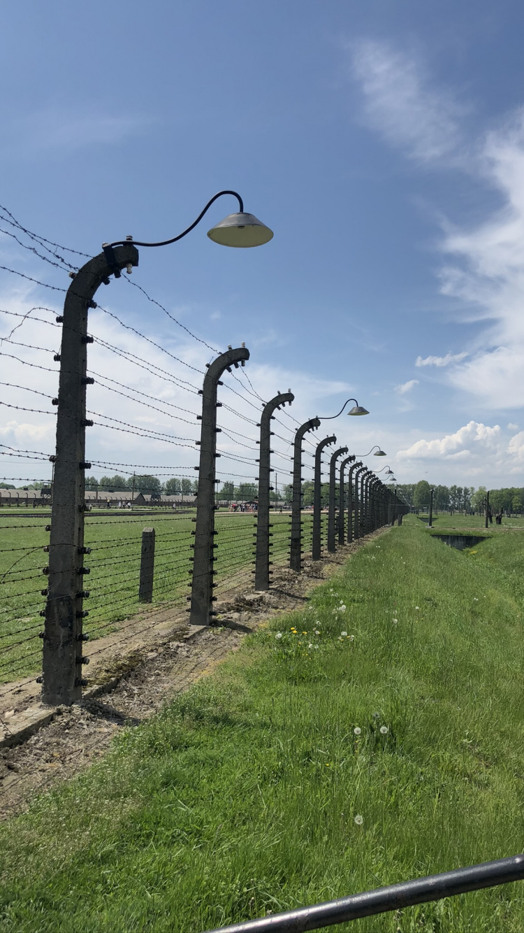 Wire Fencing, Cloud, Plain, Land Lot, Barbed Wire. Wallpaper in 750x1334 Resolution