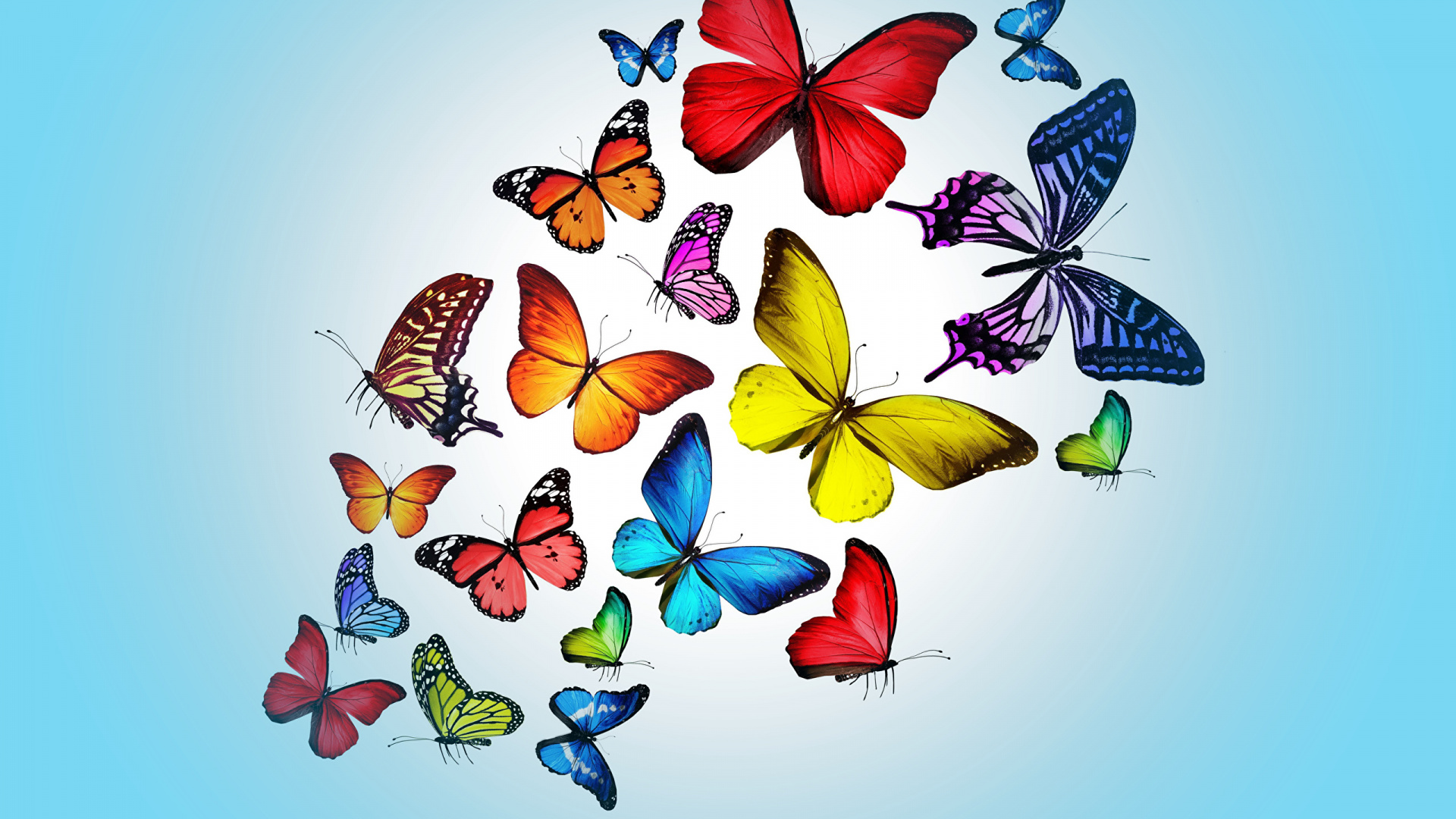 Papillons Rouges et Bleus Sur Mur Blanc. Wallpaper in 1920x1080 Resolution