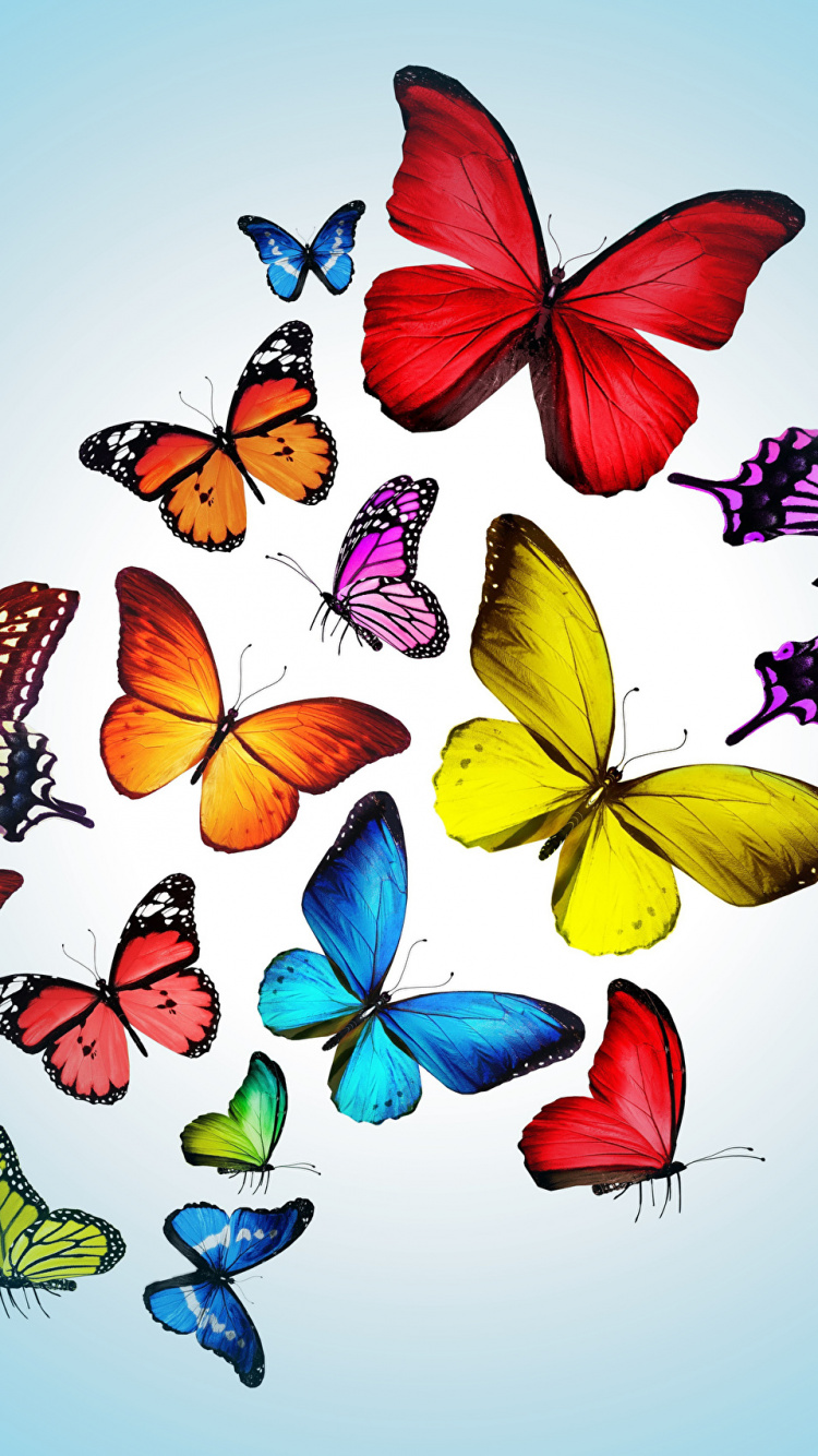 Mariposas Rojas y Azules en la Pared Blanca. Wallpaper in 750x1334 Resolution