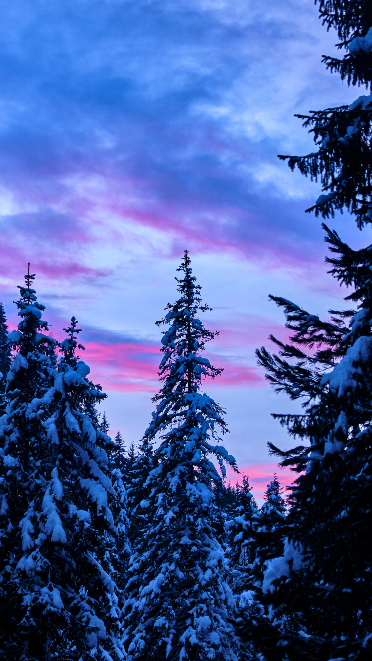 Puesta, Naturaleza, Azul, Entorno Natural, Desierto. Wallpaper in 750x1334 Resolution