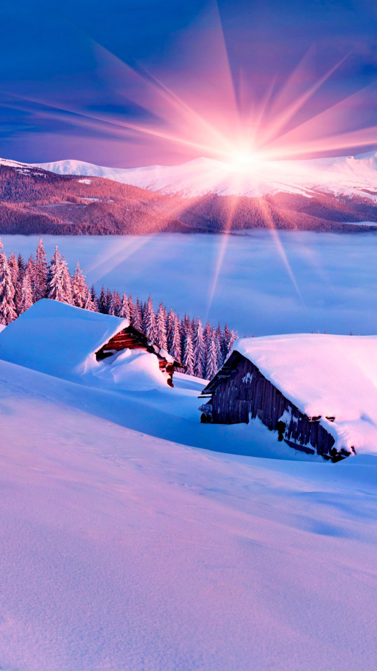 Schneebedecktes Feld Und Bäume Unter Blauem Himmel Tagsüber. Wallpaper in 750x1334 Resolution