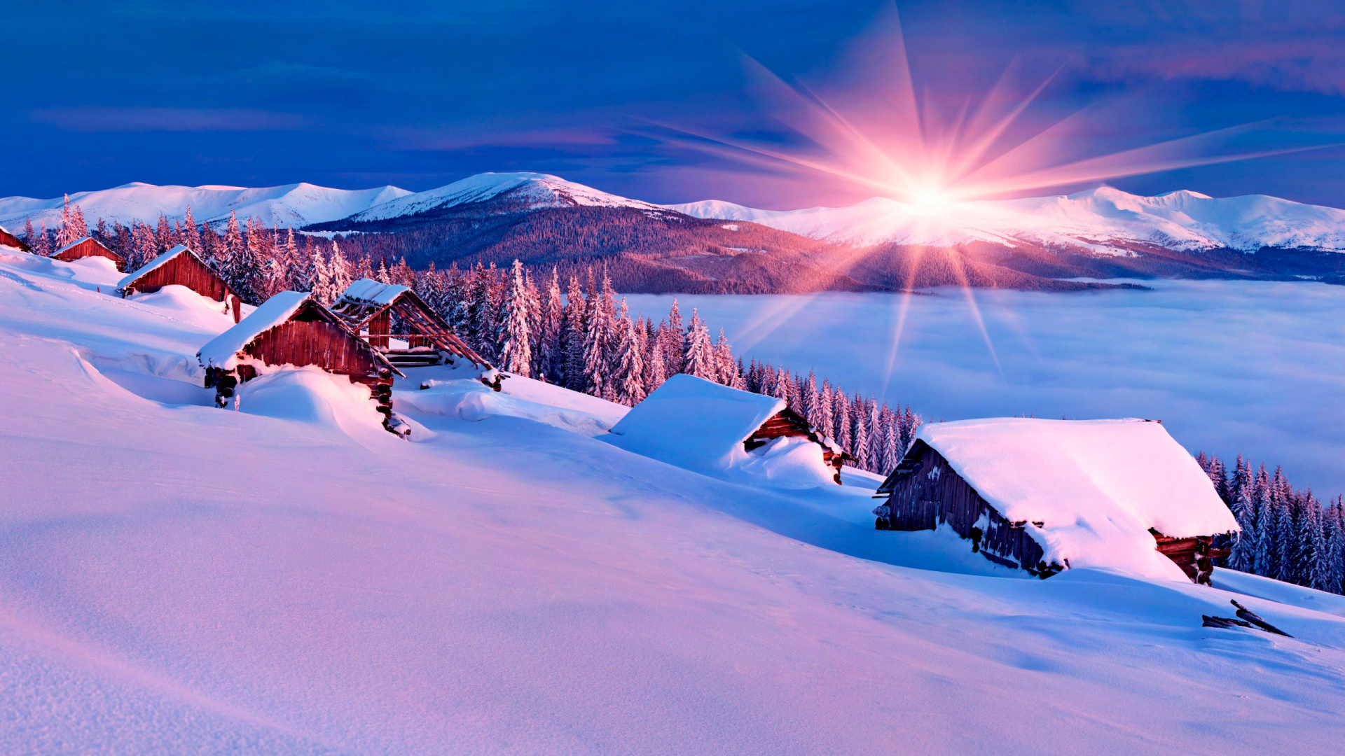 Snow Covered Field and Trees Under Blue Sky During Daytime. Wallpaper in 1920x1080 Resolution