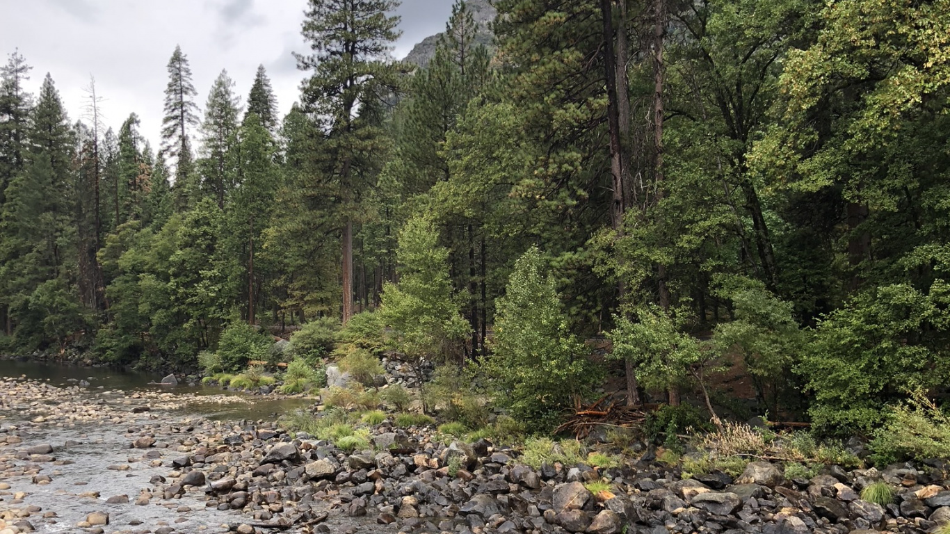 Wilderness, Real Estate, Land Lot, Colnia Murici, Condominium. Wallpaper in 1366x768 Resolution