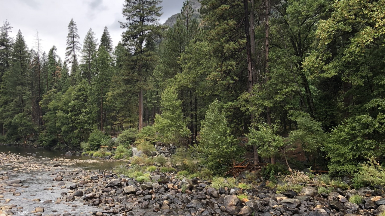 Wildnis, Immobilie, Grundstück, Colici Murici, Eigentumswohnung. Wallpaper in 1280x720 Resolution