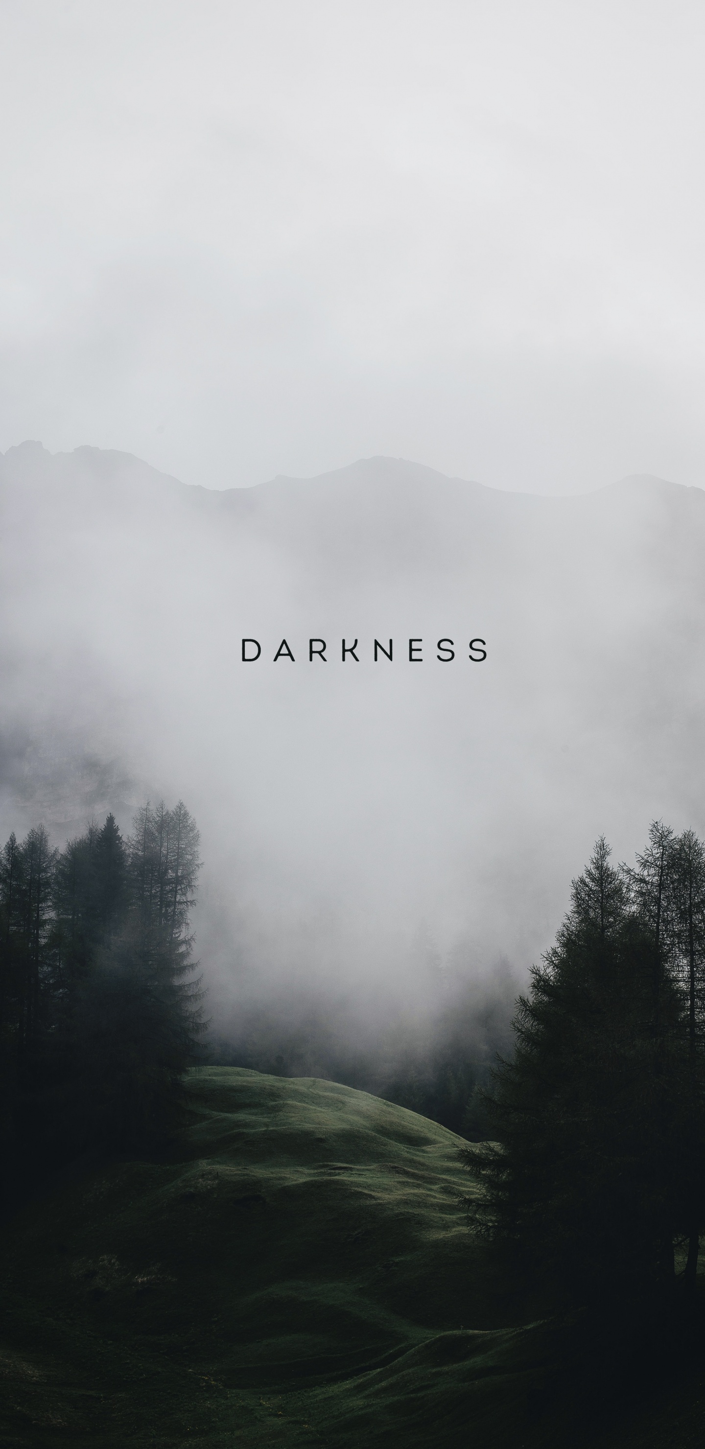 Atmosphère, Brouillard, Paysage Naturel, Highland, Corps de L'eau. Wallpaper in 1440x2960 Resolution