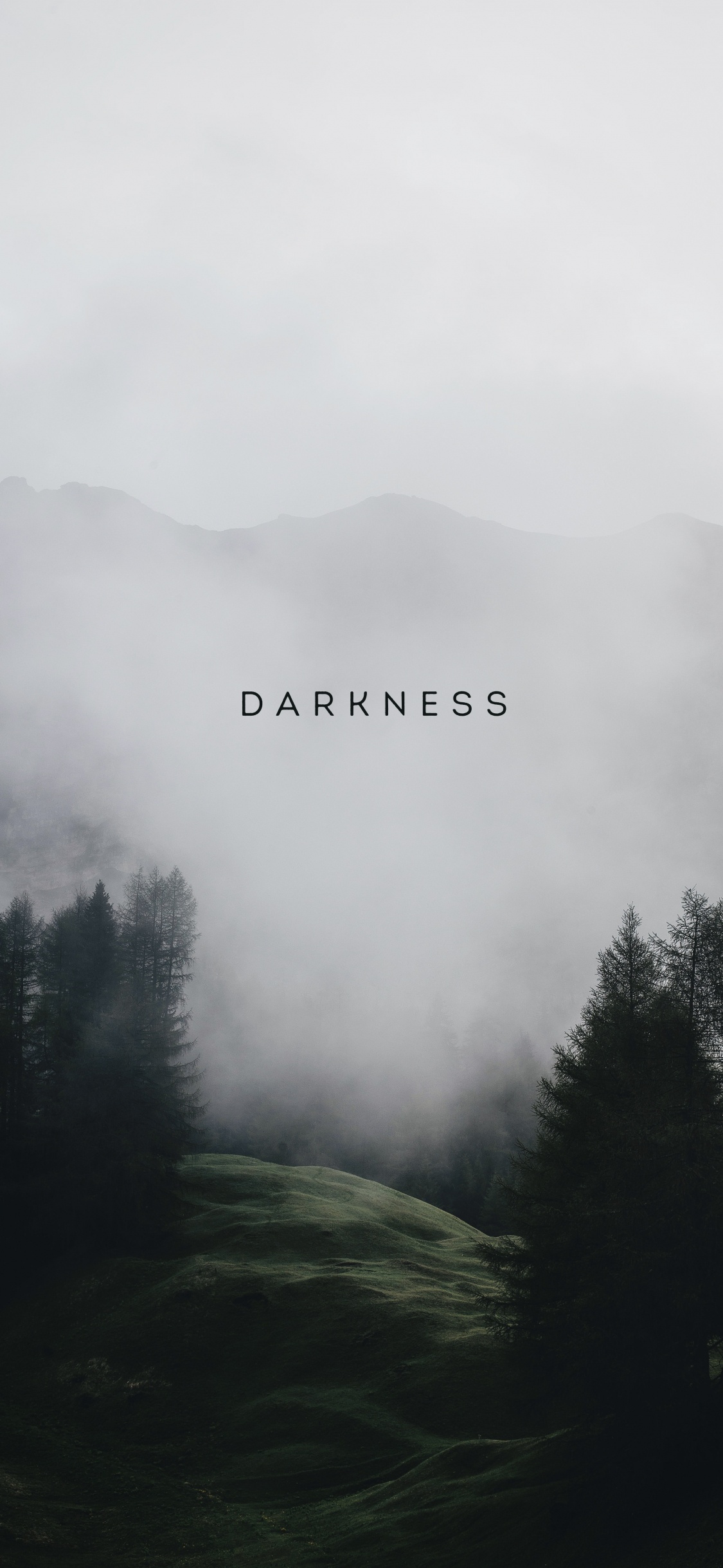 Cloud, Atmosphere, Plant, Mountain, Fog. Wallpaper in 1125x2436 Resolution