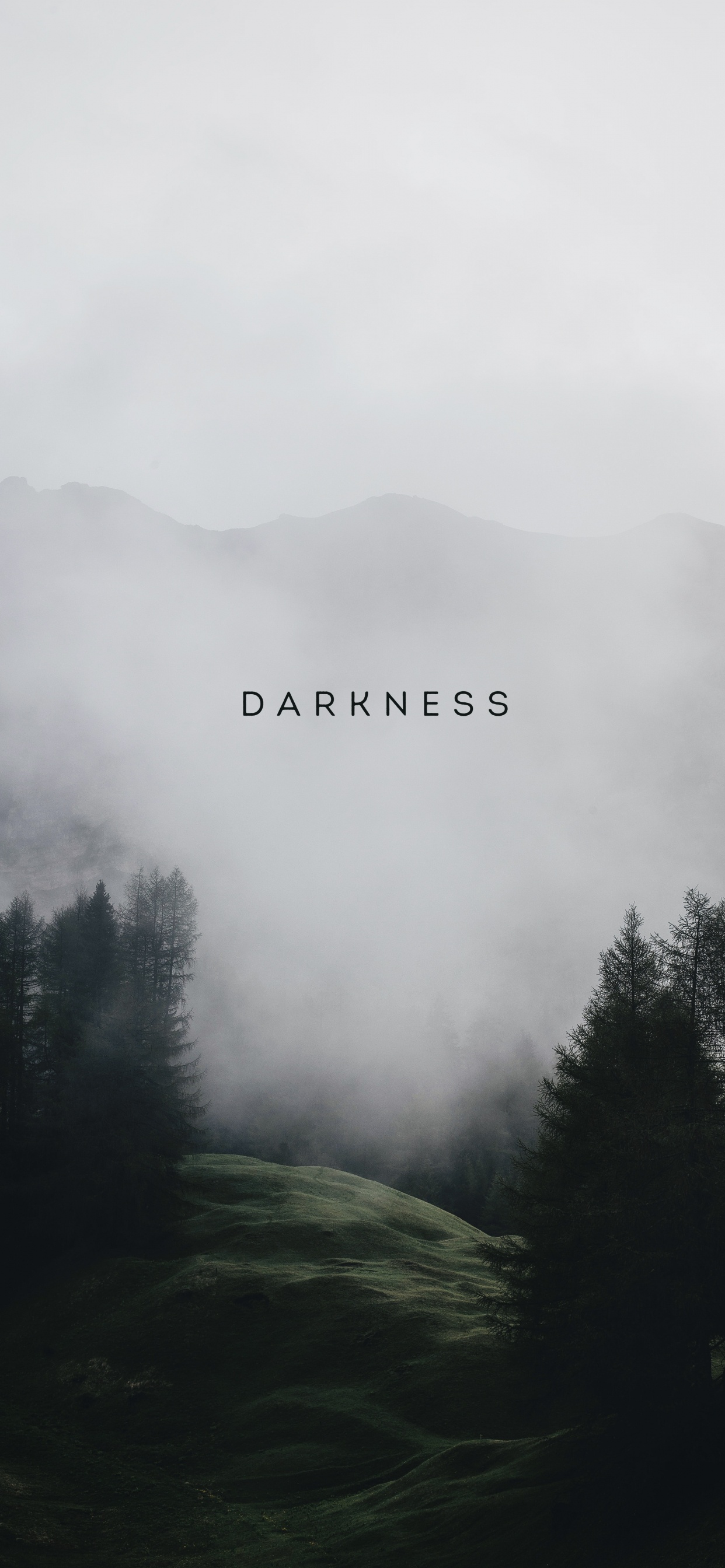 Cloud, Atmosphere, Plant, Mountain, Fog. Wallpaper in 1242x2688 Resolution