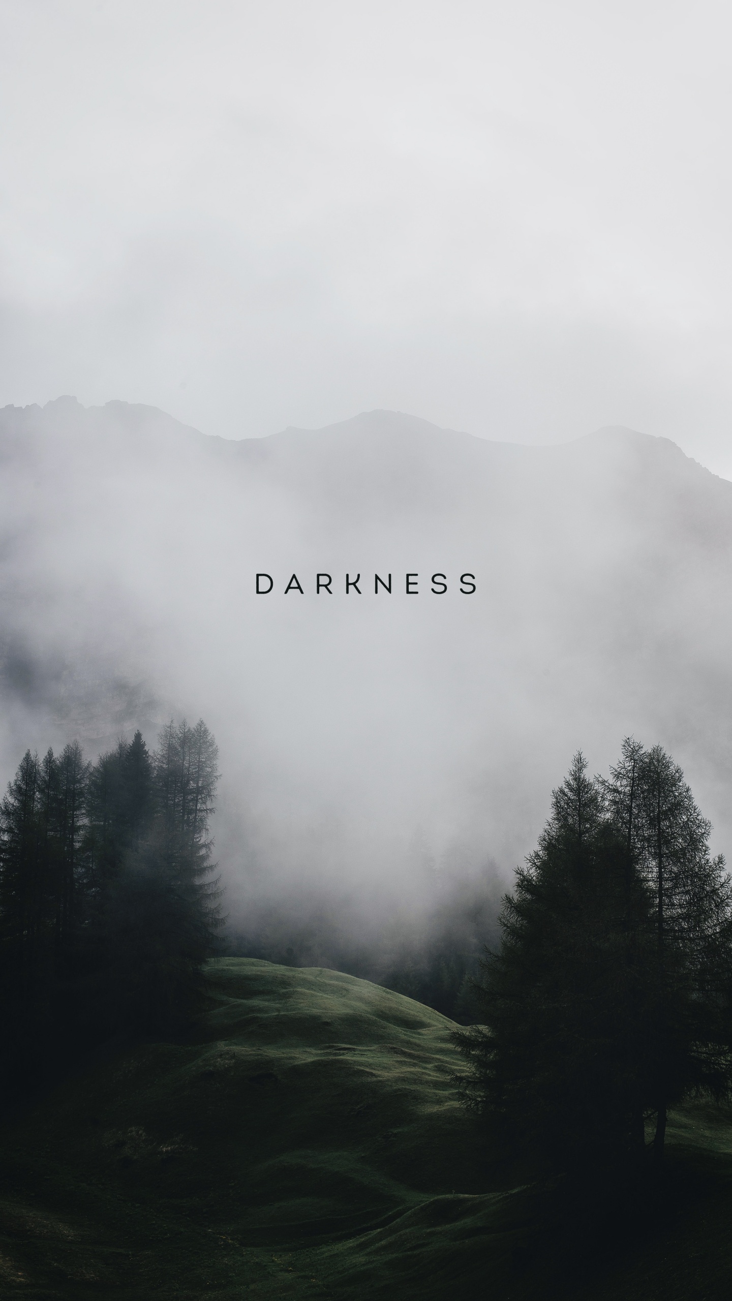 Cloud, Atmosphere, Plant, Mountain, Fog. Wallpaper in 1440x2560 Resolution