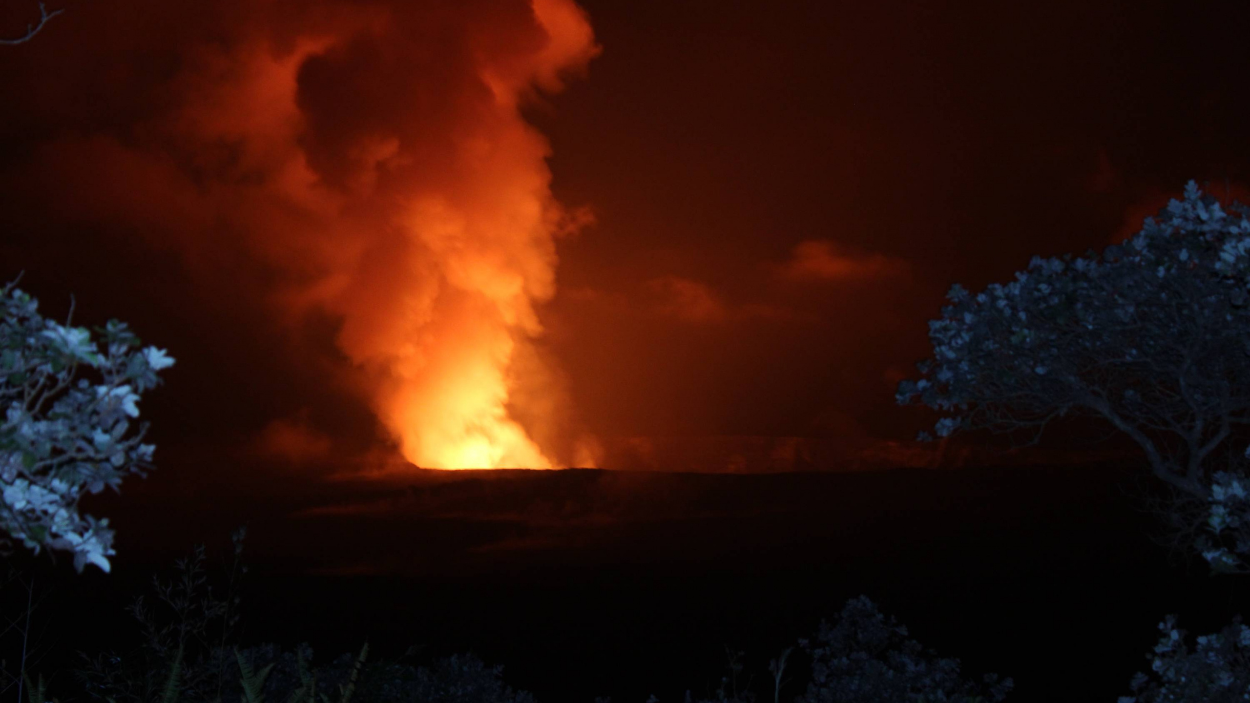 Humo Naranja y Negro en el Bosque. Wallpaper in 2560x1440 Resolution