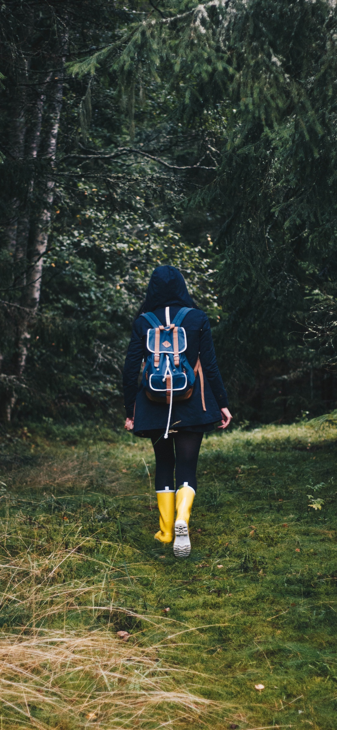 Femme en Veste Noire et Rouge Debout Sur le Terrain D'herbe Verte. Wallpaper in 1125x2436 Resolution