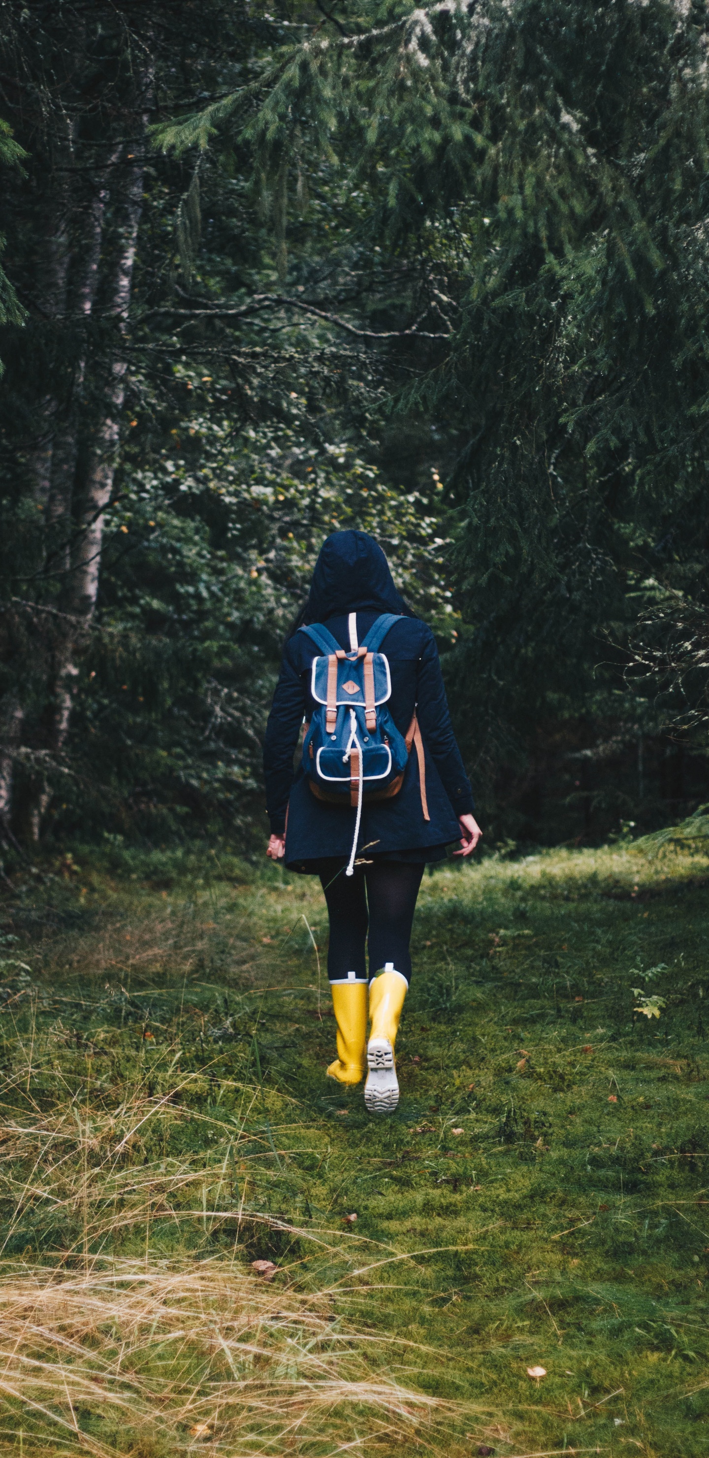 Femme en Veste Noire et Rouge Debout Sur le Terrain D'herbe Verte. Wallpaper in 1440x2960 Resolution