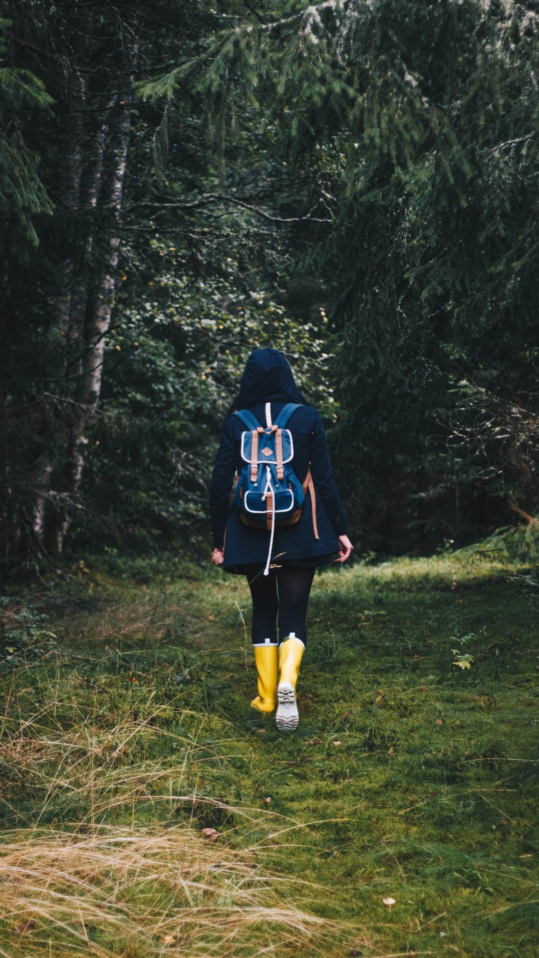 Woman in Black and Red Jacket Standing on Green Grass Field. Wallpaper in 1080x1920 Resolution