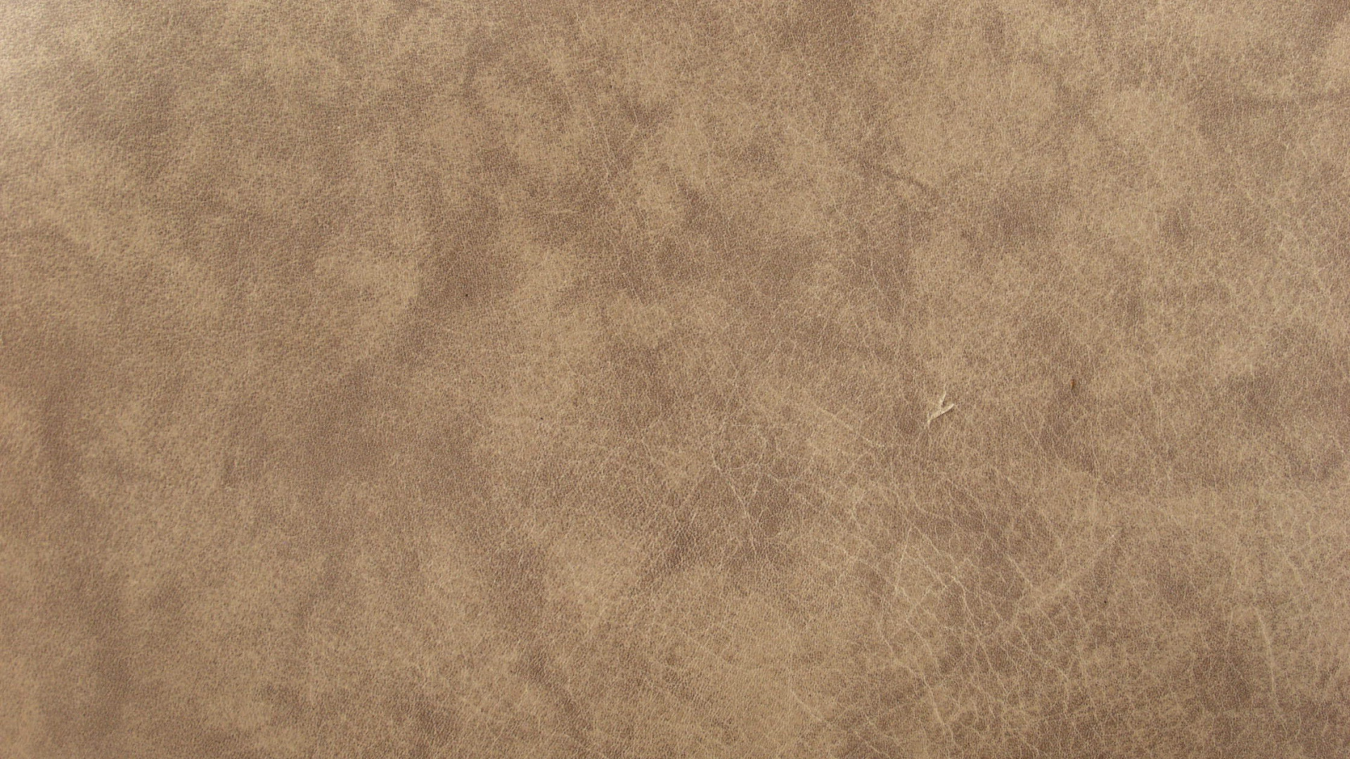 Textile Marron Avec Tache Blanche. Wallpaper in 1920x1080 Resolution