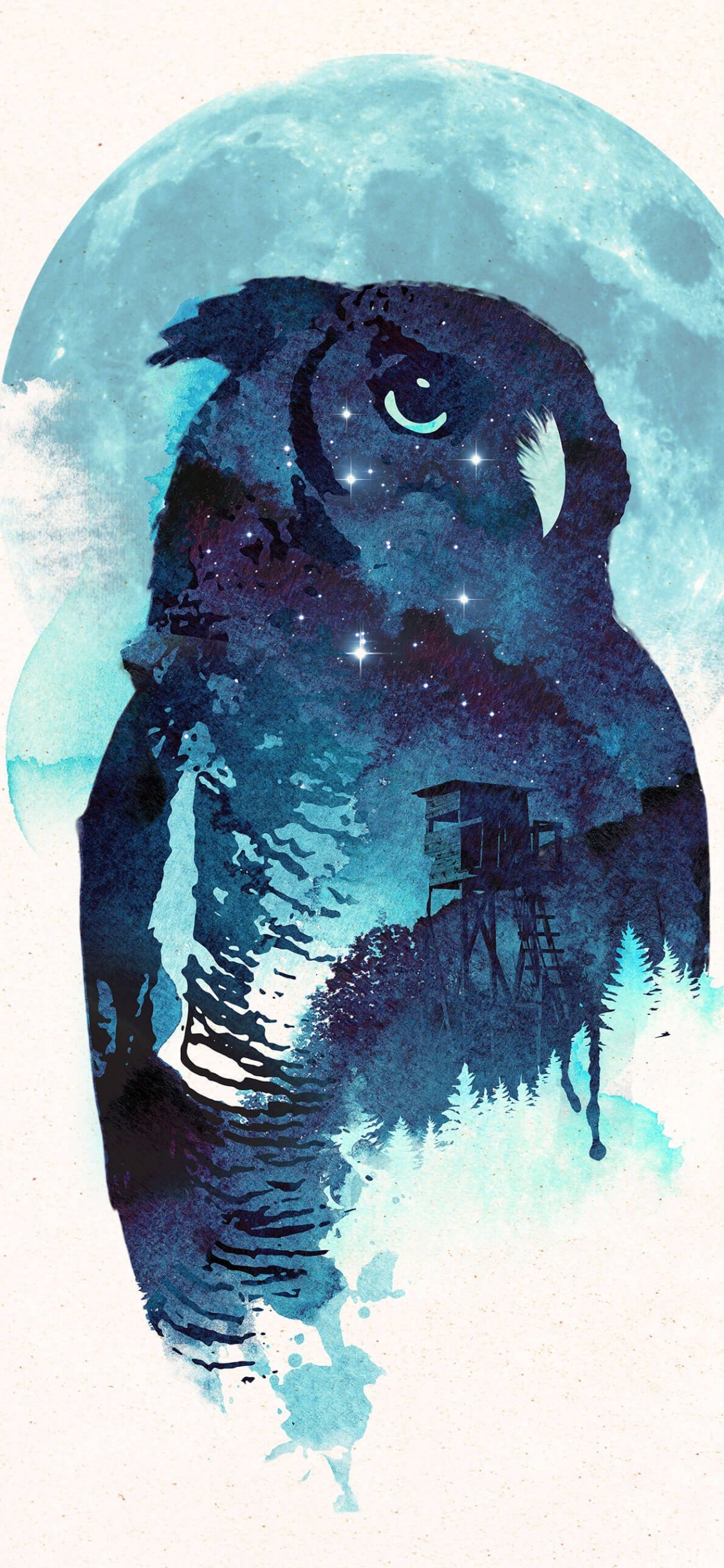 Art de Hibou de Minuit, Impression D'art, Art, Art Mural Toile, Affiche. Wallpaper in 1125x2436 Resolution