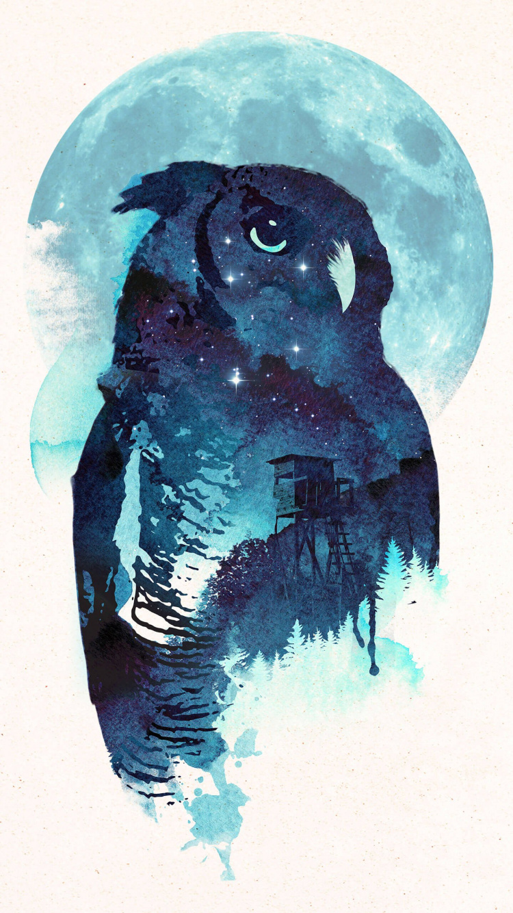 Art de Hibou de Minuit, Impression D'art, Art, Art Mural Toile, Affiche. Wallpaper in 750x1334 Resolution