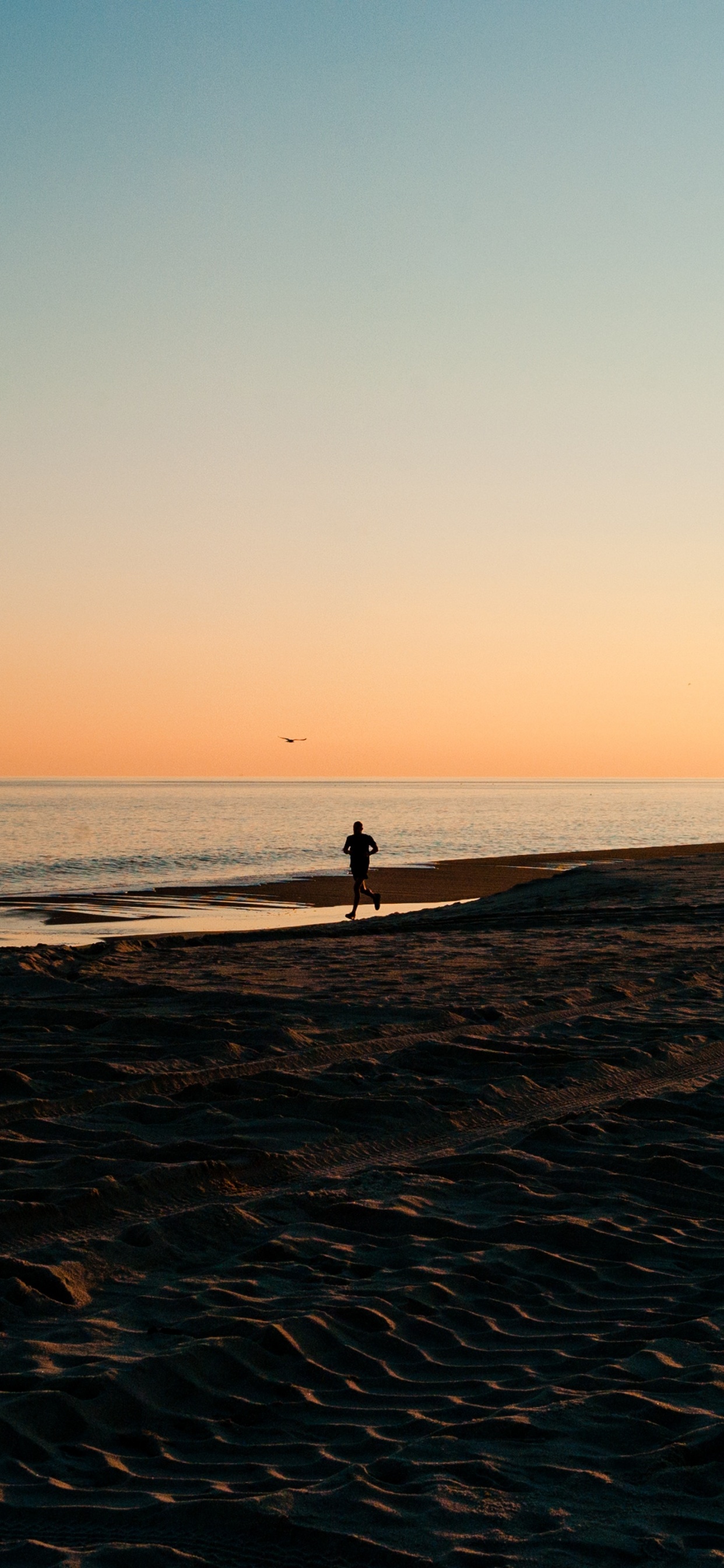 Cuerpo de Agua, Mar, Playa, Oceano, Puesta. Wallpaper in 1242x2688 Resolution