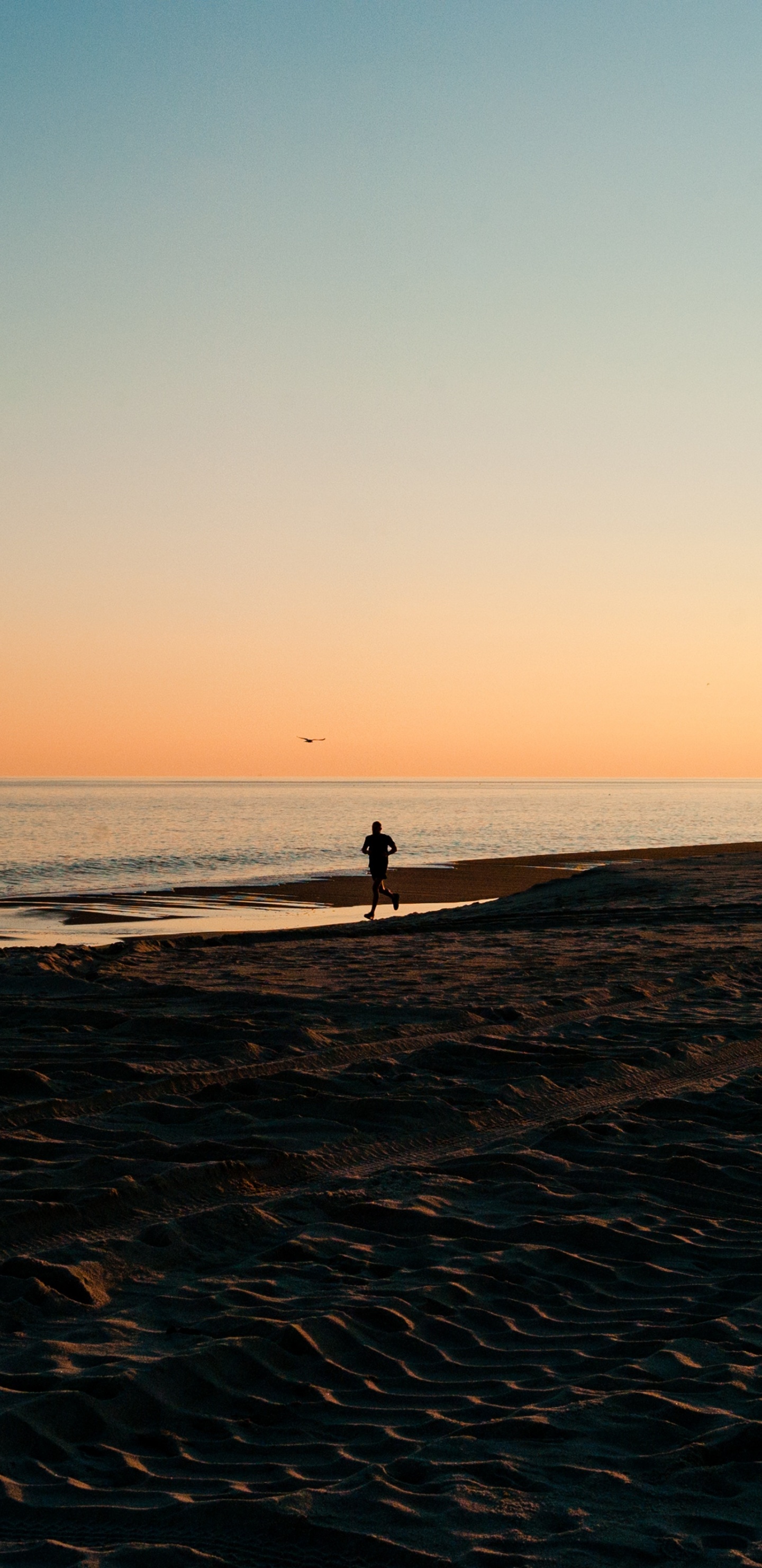 Cuerpo de Agua, Mar, Playa, Oceano, Puesta. Wallpaper in 1440x2960 Resolution