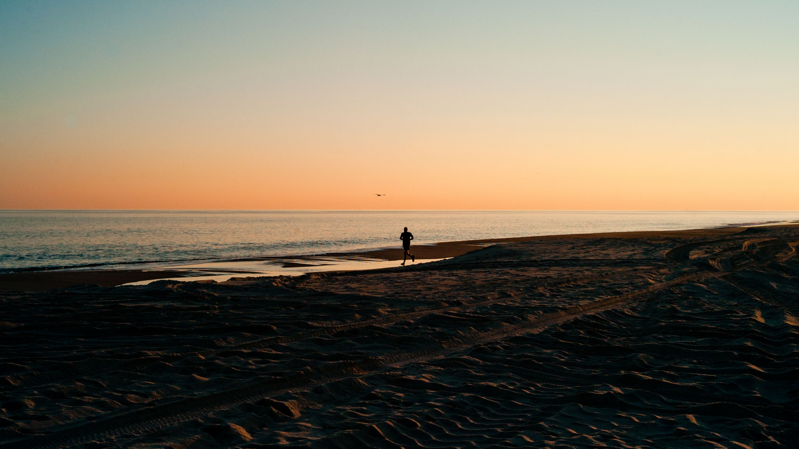 Corps de L'eau, Horizon, Mer, Plage, Côte. Wallpaper in 2560x1440 Resolution