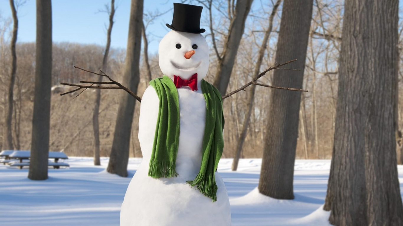 Schneemann, Neujahr. Wallpaper in 1366x768 Resolution