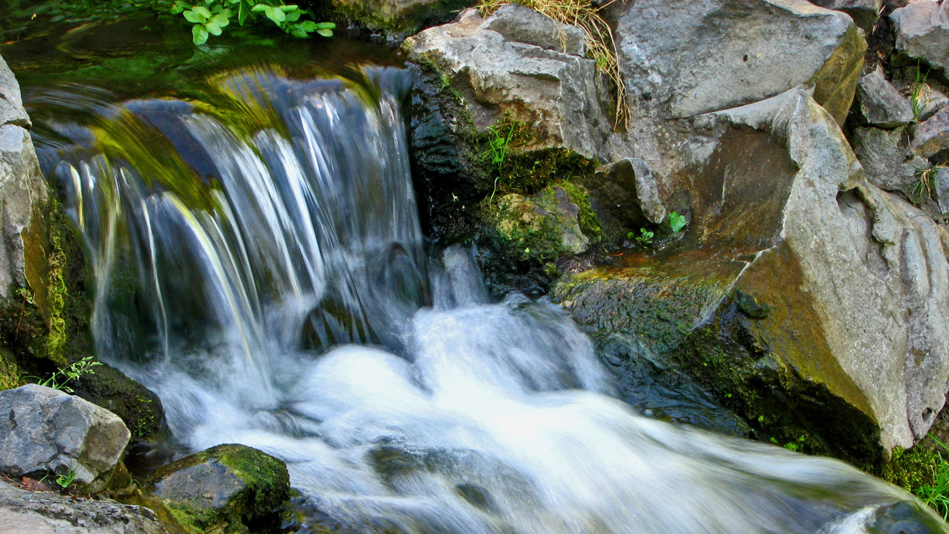 水资源, 人体内的水, 性质, 水道, 流 壁纸 1366x768 允许