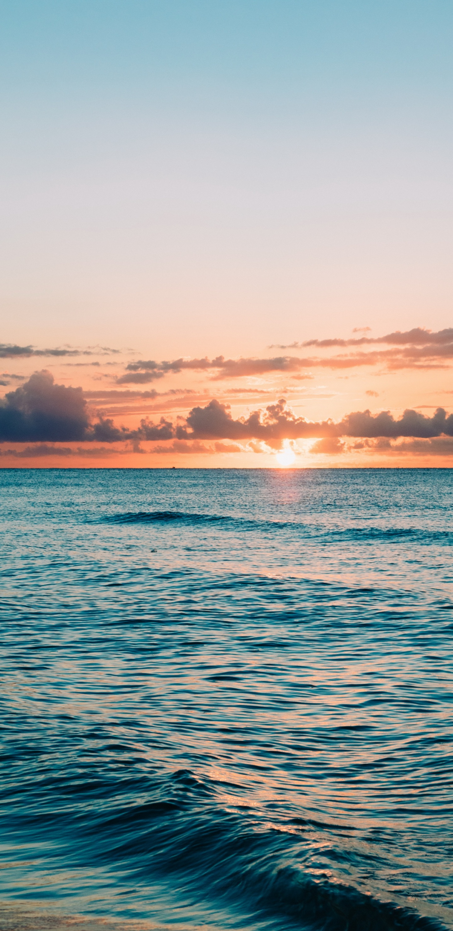 Oceano, Agua, Mar, Playa, Ambiente. Wallpaper in 1440x2960 Resolution